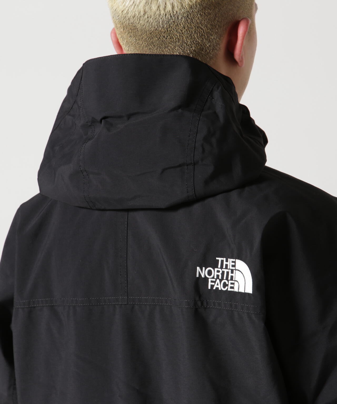 THE NORTH FACE(ザ・ノース・フェイス) Mountain Light Jacket