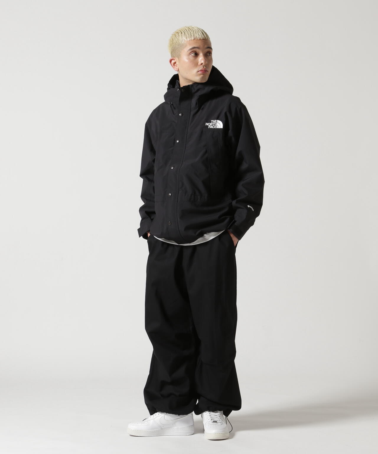 THE NORTH FACE(ザ・ノース・フェイス) Mountain Light Jacket
