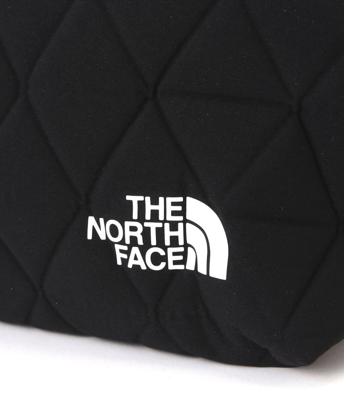 THE NORTH FACE (ザ・ノースフェイス)Geoface Box Tote NM32355