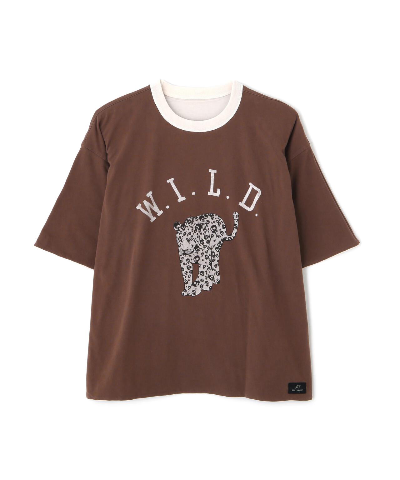 17adc9e2-60c7-5dee-9fc4-091c66a4bf98_Image