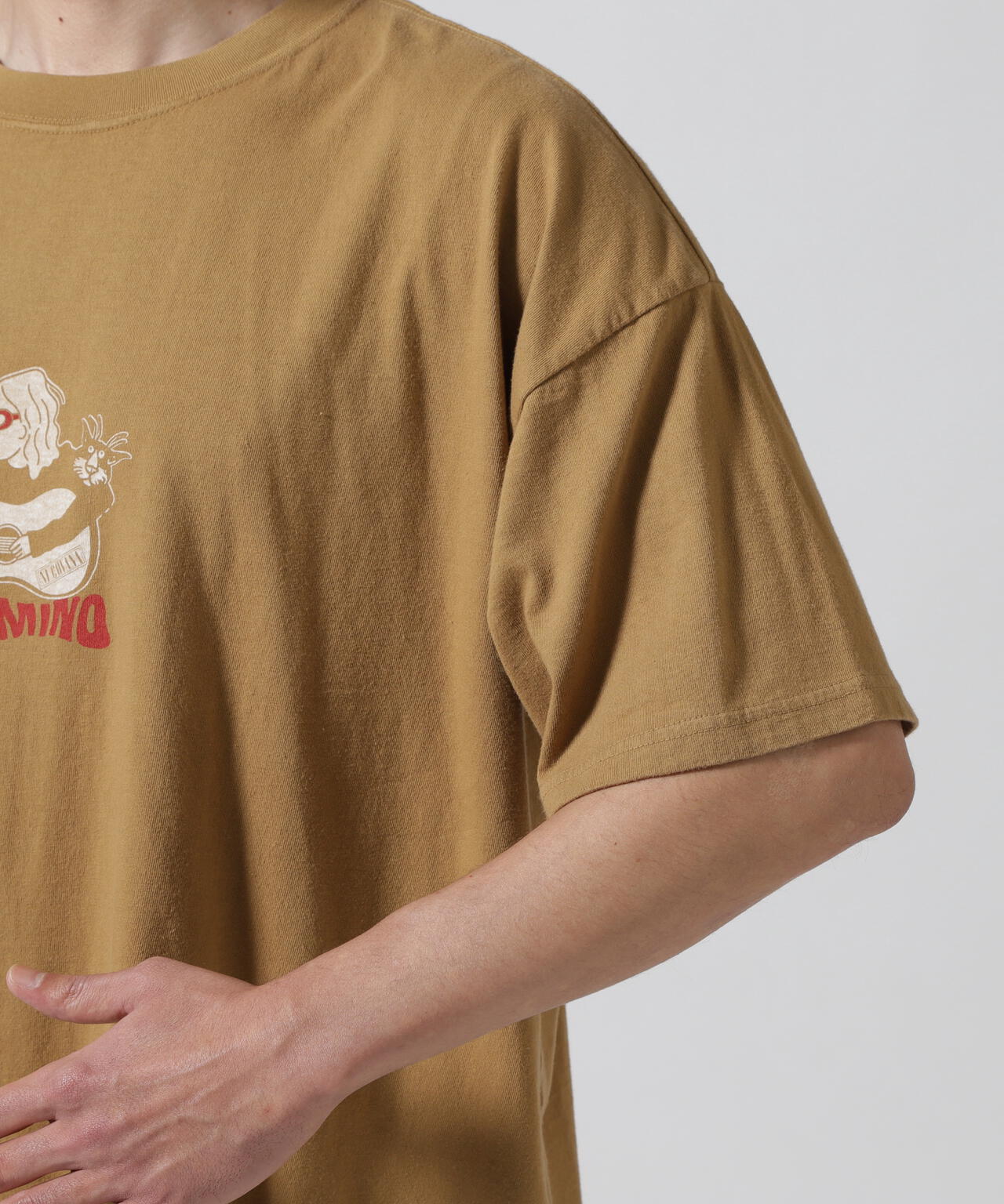REMI RELIEF(レミレリーフ) 別注20/-天竺BIGサイズTシャツ(NECO)