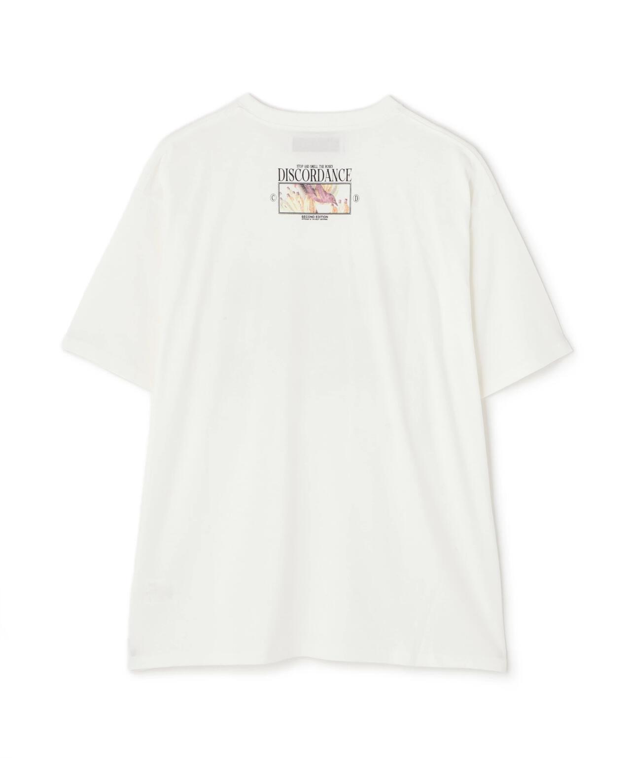 a91f32d7-417d-50c4-80f6-dd60202cbb3f_Image