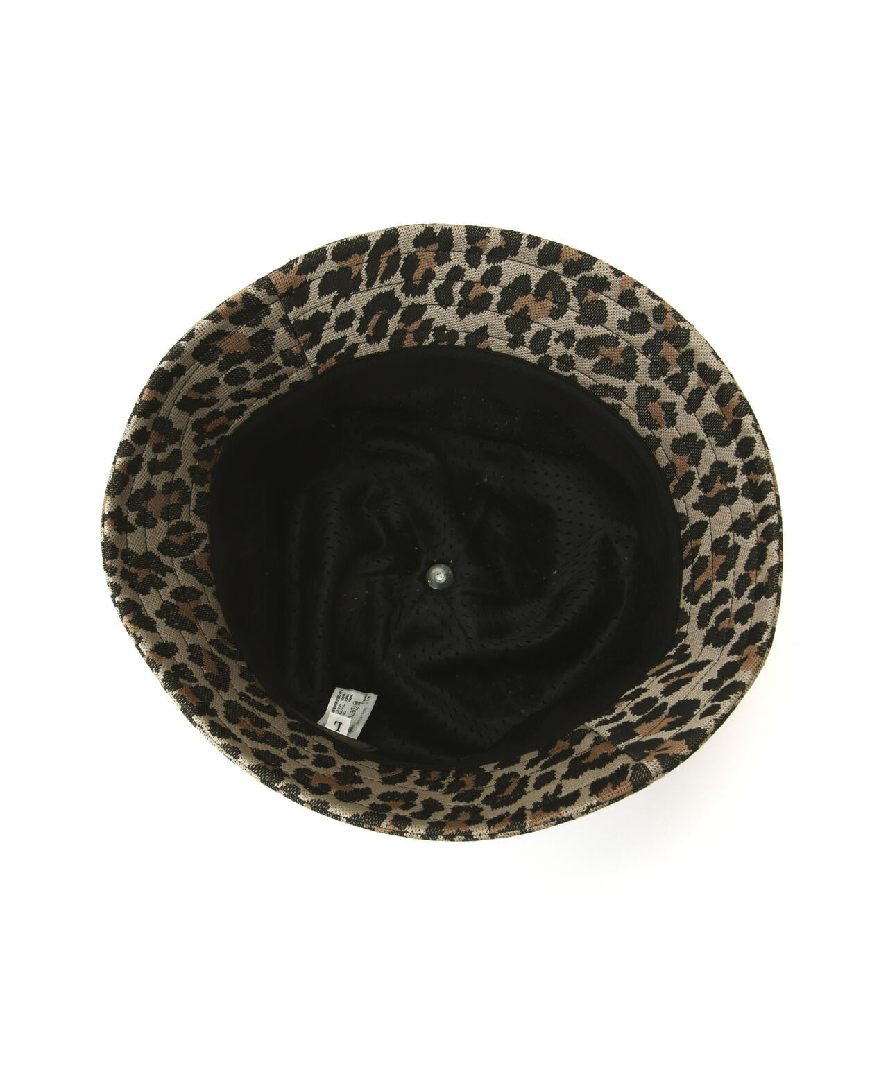 e4ed42eb-0148-5d2b-a3fc-37266bde4021_Image