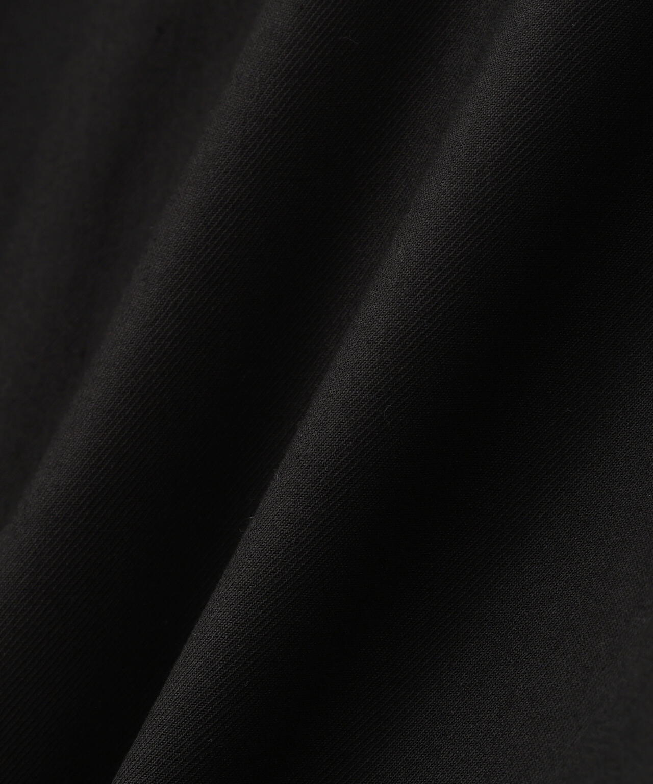 DickiesxChildren of the discordance/Dickies Pants