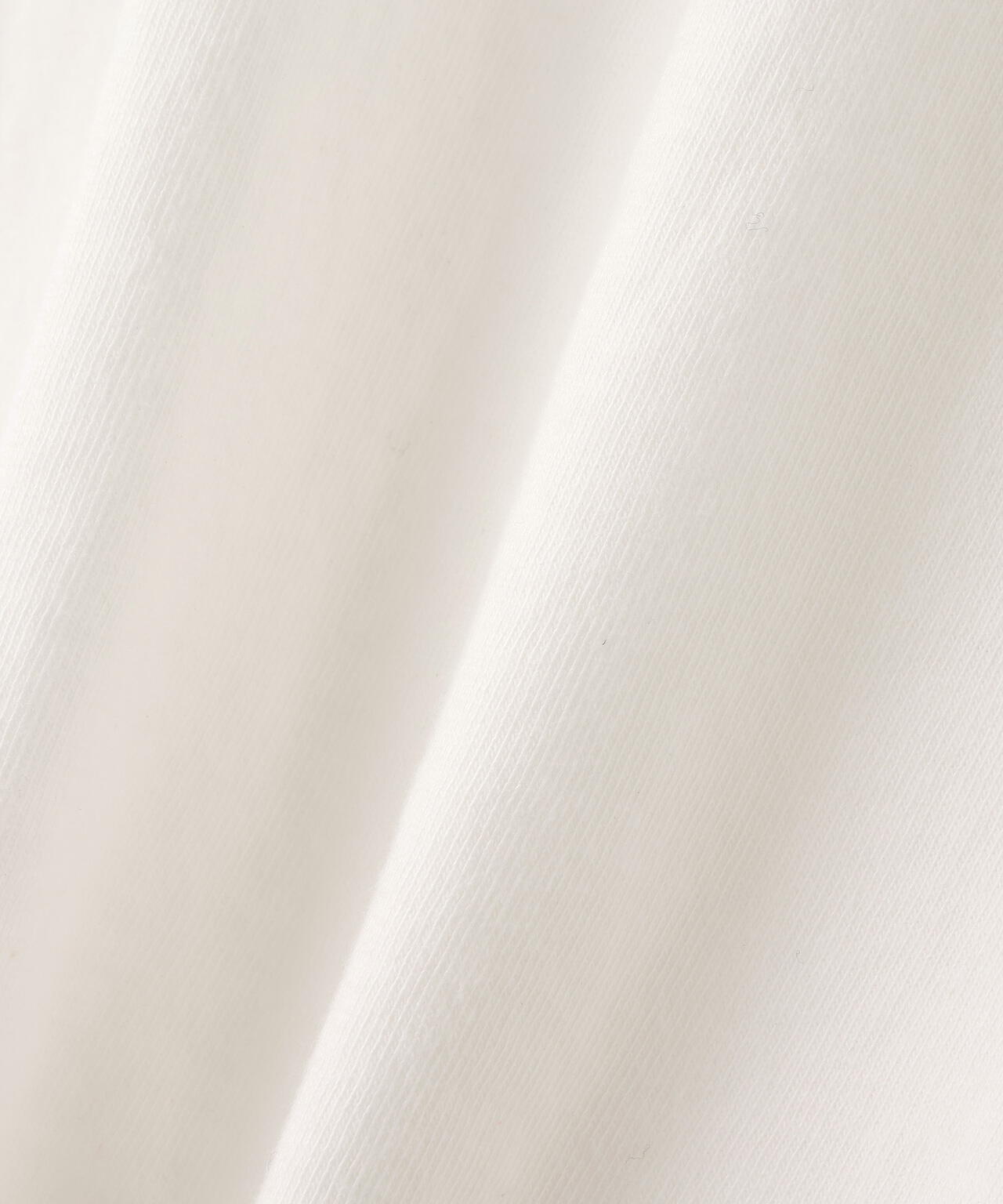 REMI RELIEF(レミレリーフ) 別注20/-天竺BIGサイズTシャツ(THE WHO IS)