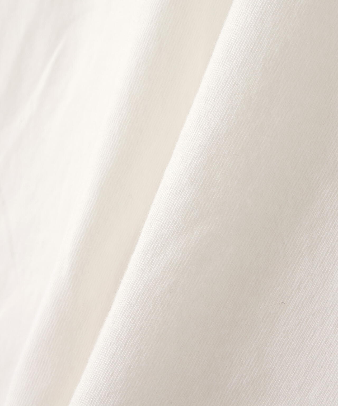 REMI RELIEF(レミレリーフ) 別注20/-天竺BIGサイズTシャツ(MOSS POINT)