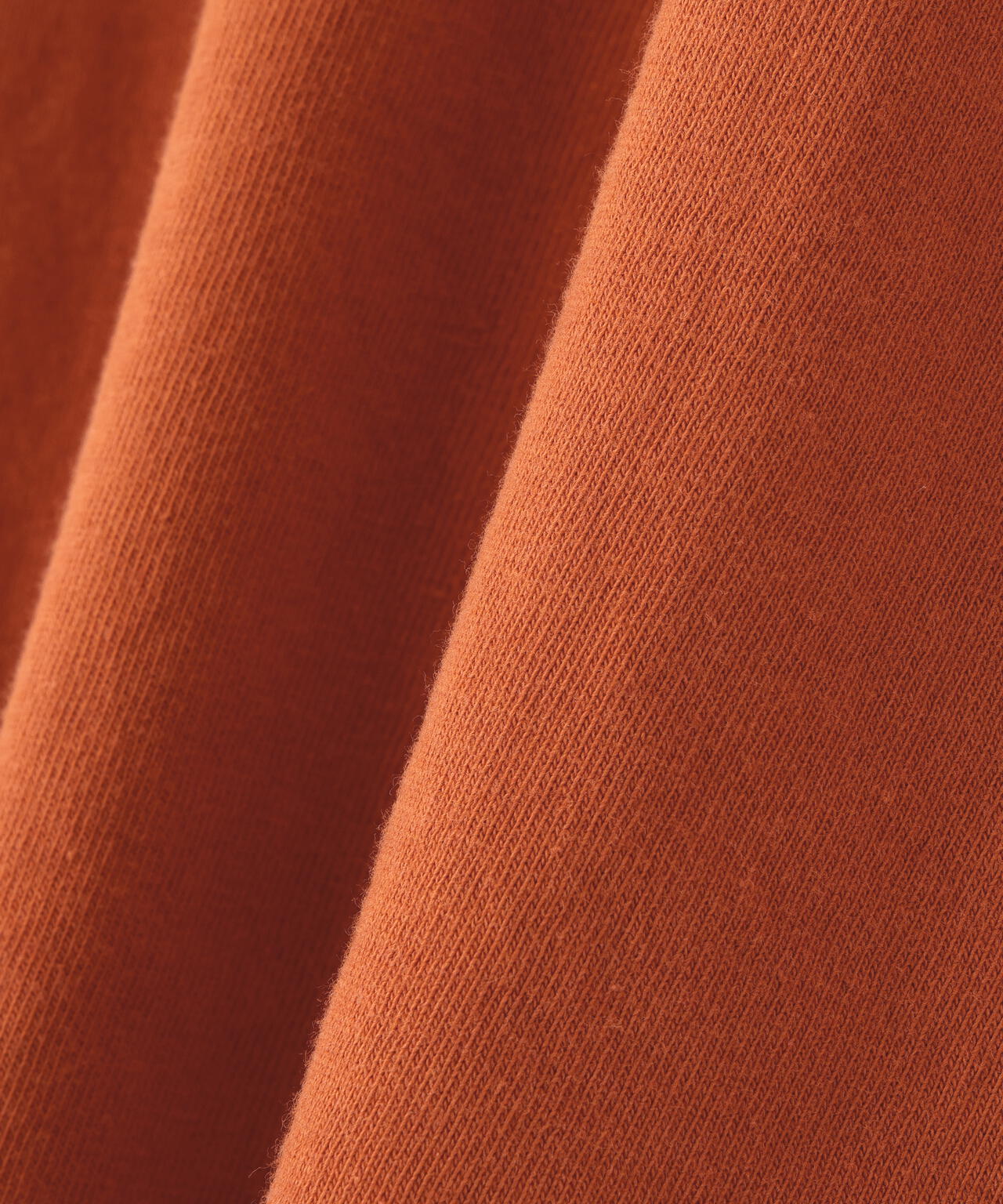 REMI RELIEF(レミレリーフ) 別注20/-天竺BIGサイズTシャツ(MOSS POINT)