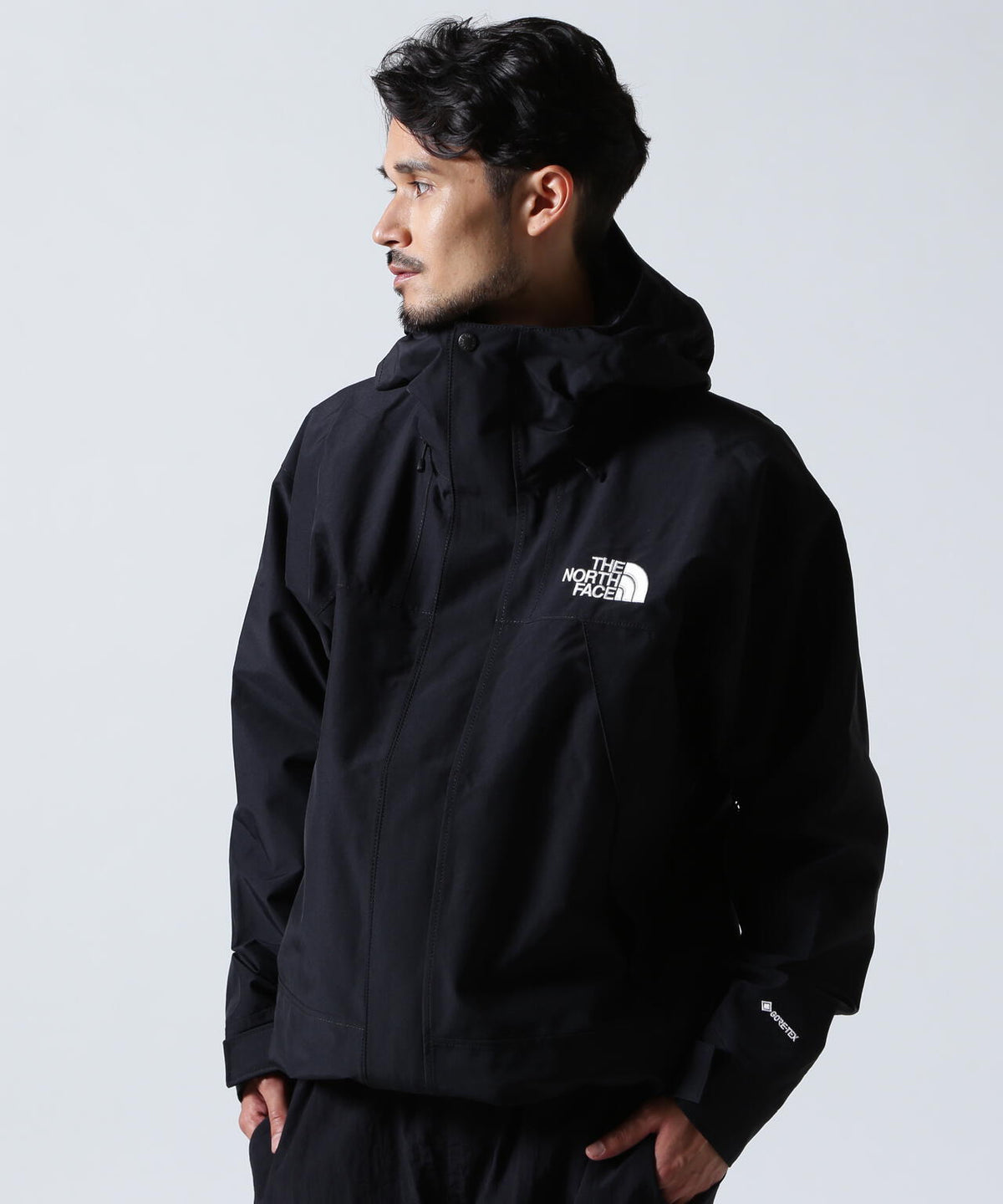 THE NORTH FACE (ザ・ノース・フェイス)Mountain Jacket