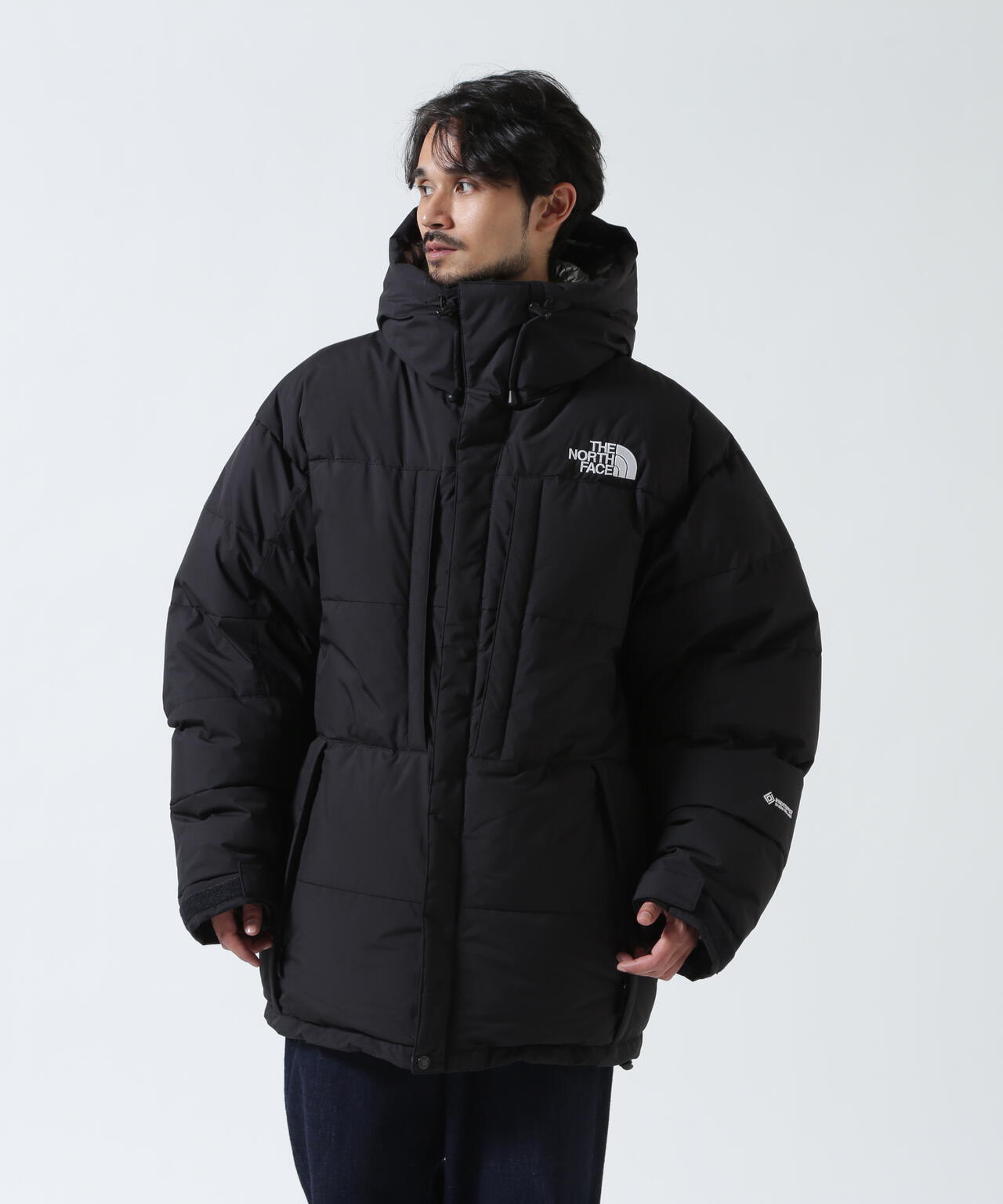 THE NORTH FACE (ザ・ノース・フェイス)Baltro Jacket ND92553