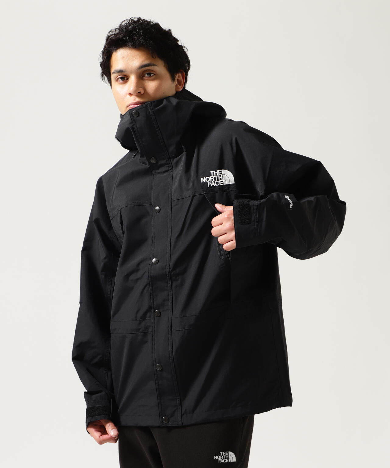 THE NORTH FACE / Mountain Light Jacket NP62450