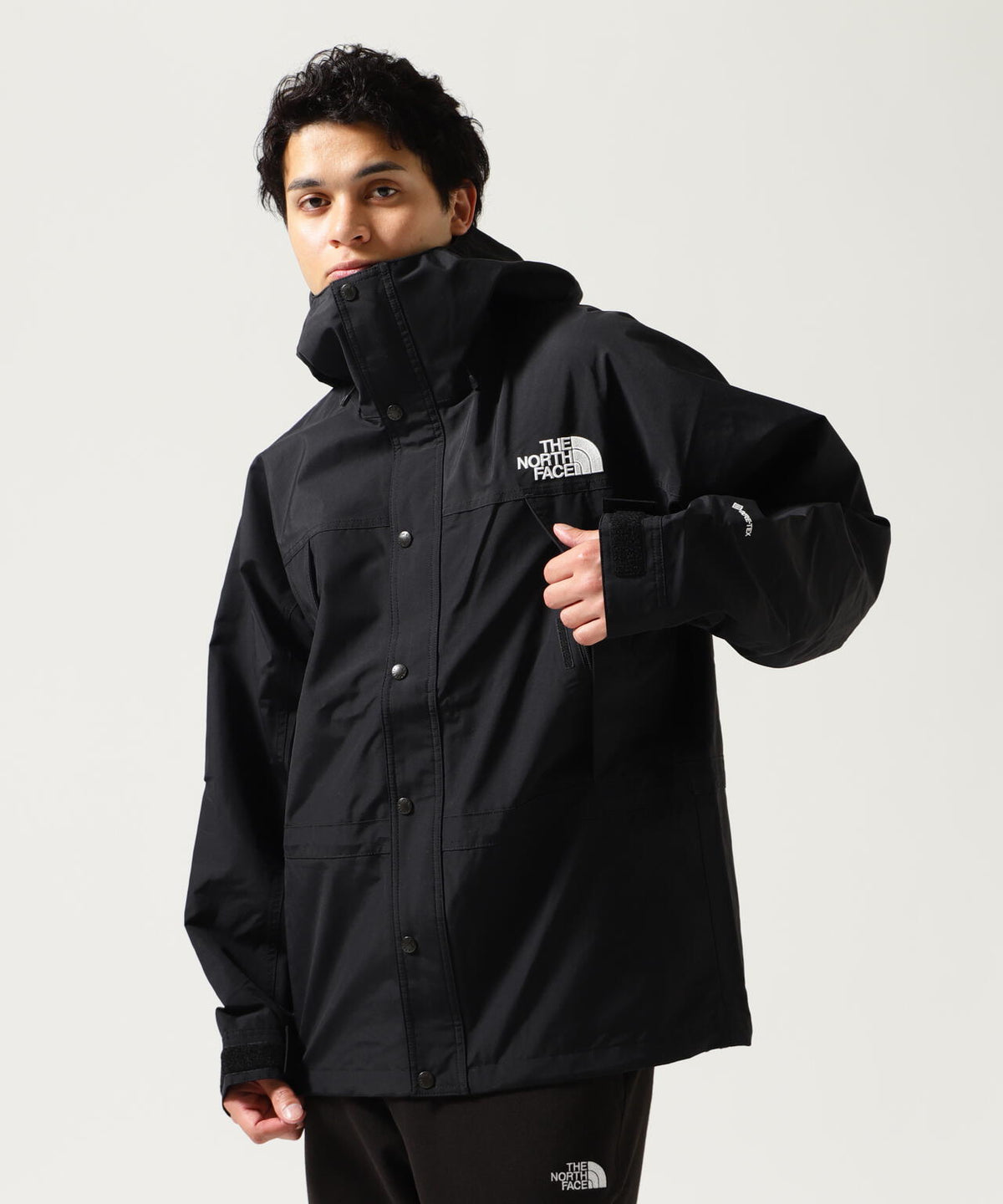 THE NORTH FACE / Mountain Light Jacket NP62450