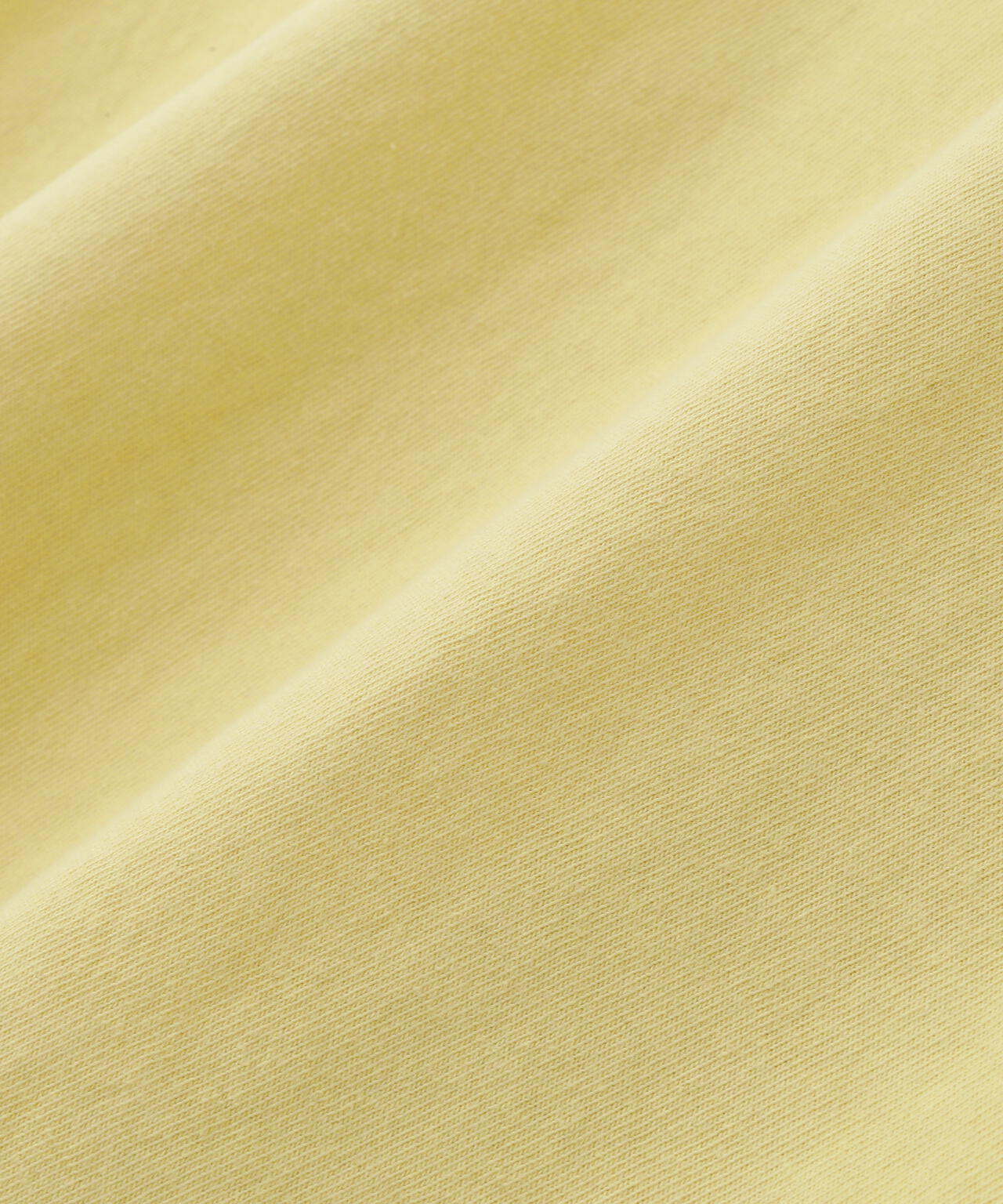 REMI RELIEF(レミレリーフ) 別注20/-天竺BIGサイズTシャツ(RECORD)