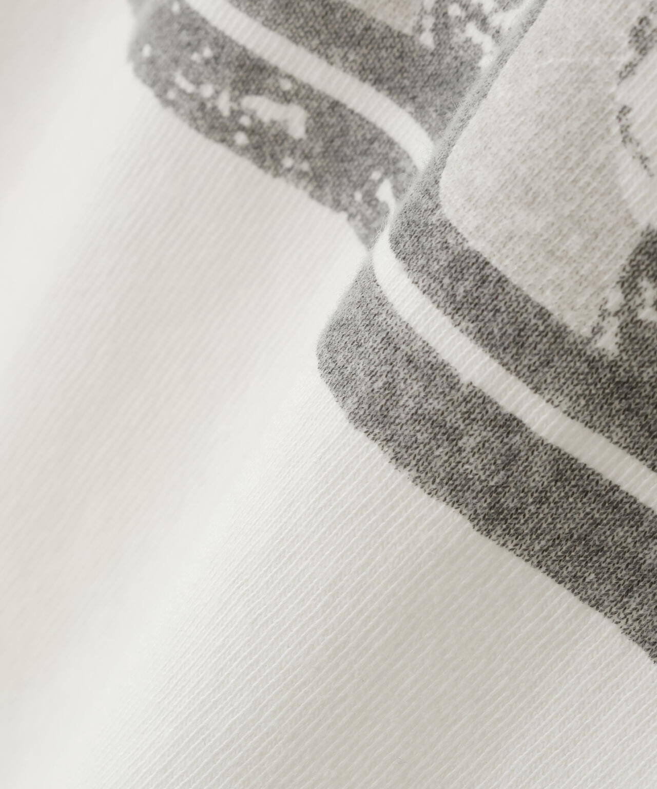 REMI RELIEF / 別注20/-天竺BIGサイズTシャツ(A HARD CAT'S)