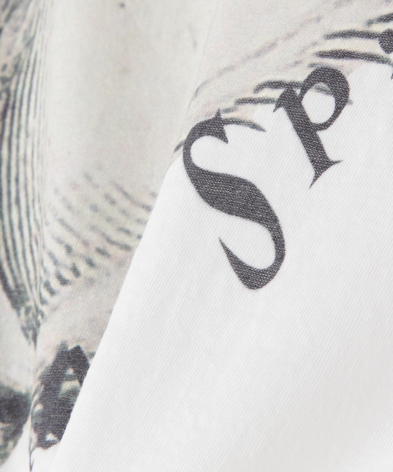 20cecb07-75ff-5b9c-8d65-0aec341a81d9_Image