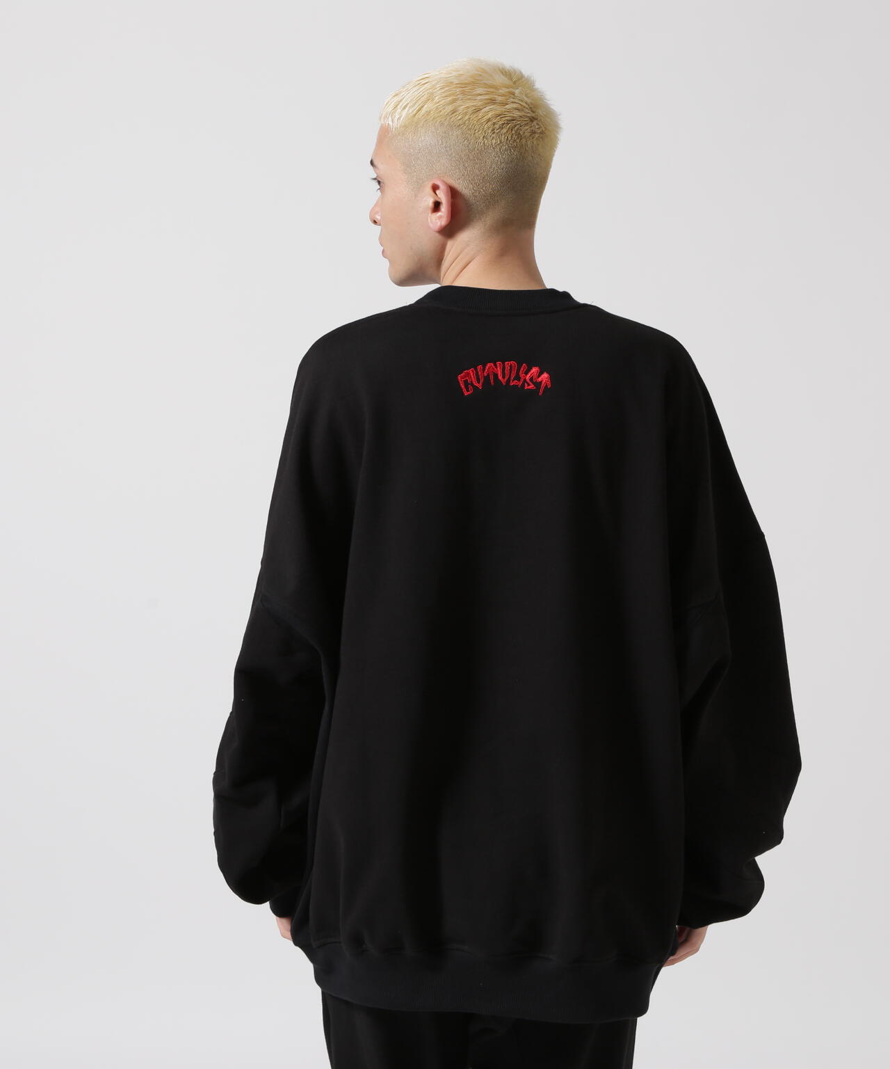 CTLS/シーティーエルエス/別注USUAL CREW-NECK 刺繍クロス