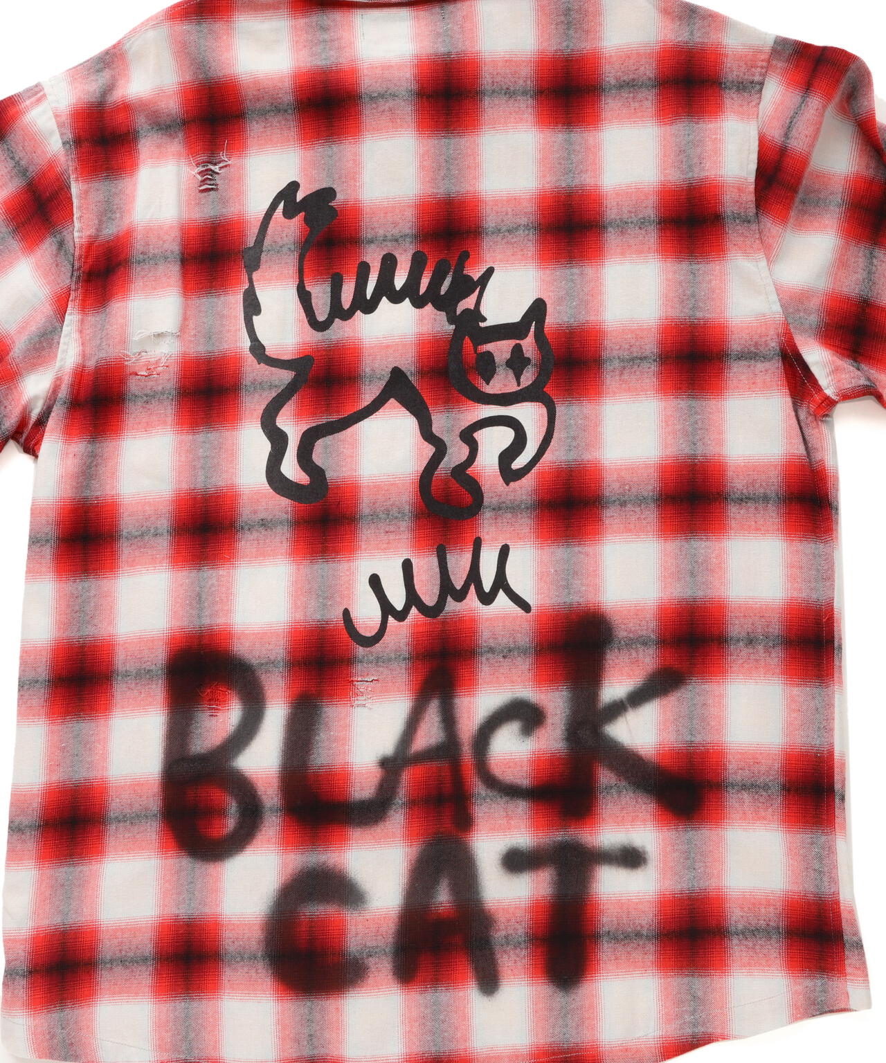 20a7b92e-7eb2-578b-9e39-d3bf109d0fa1_Image