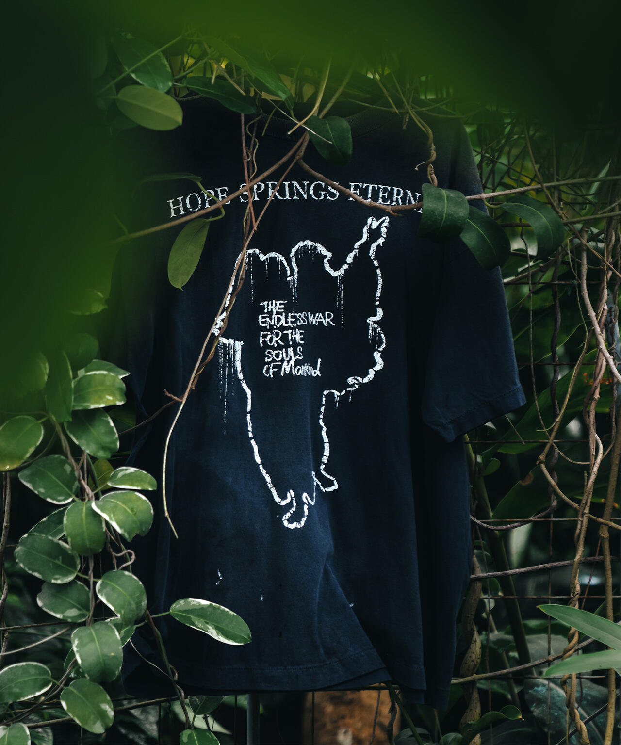 95bc6169-3c76-5e1f-b5b4-88f56bbbb9f5_Image