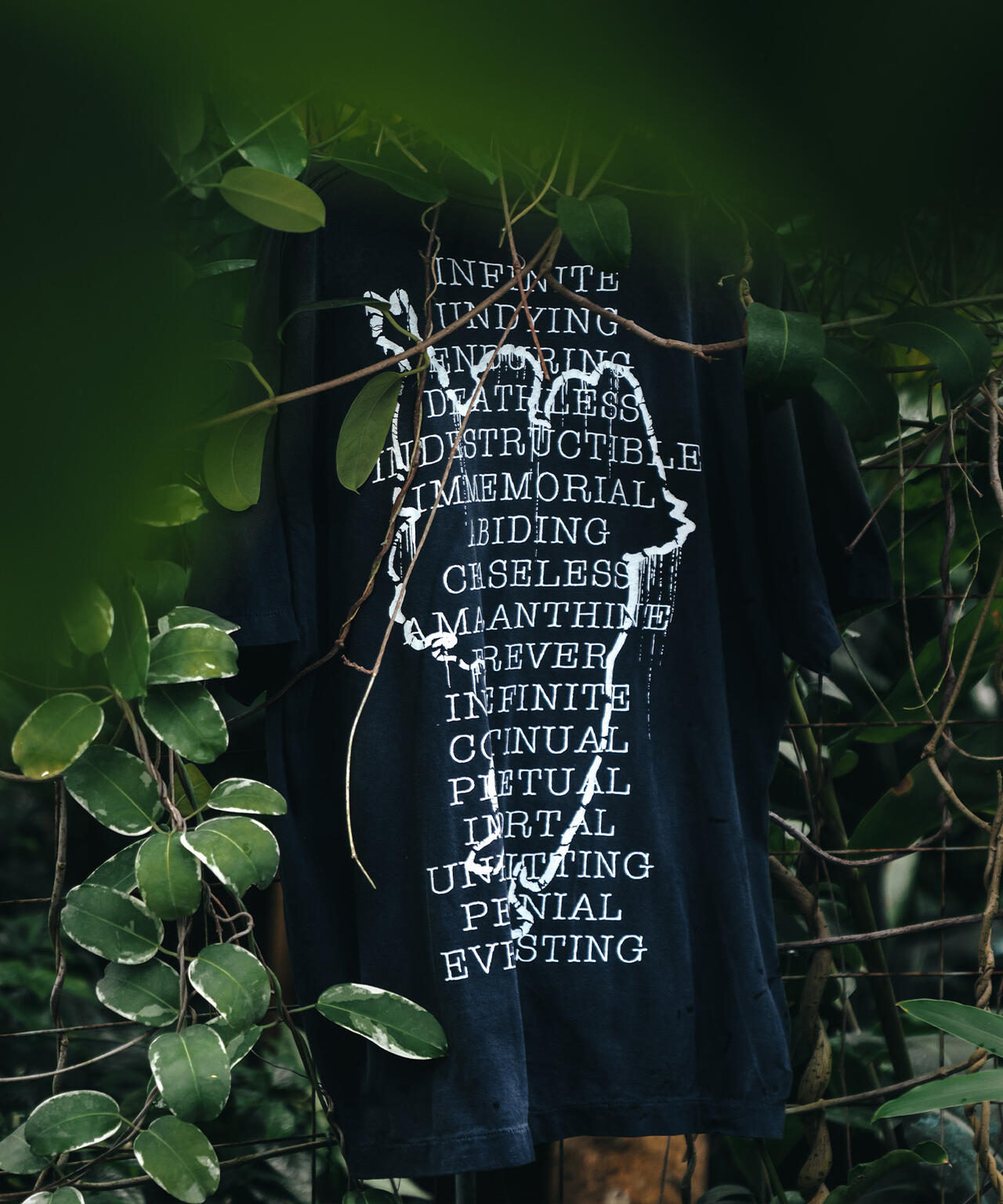 f5411a60-7ce7-53b9-9501-b8a7e9003dab_Image