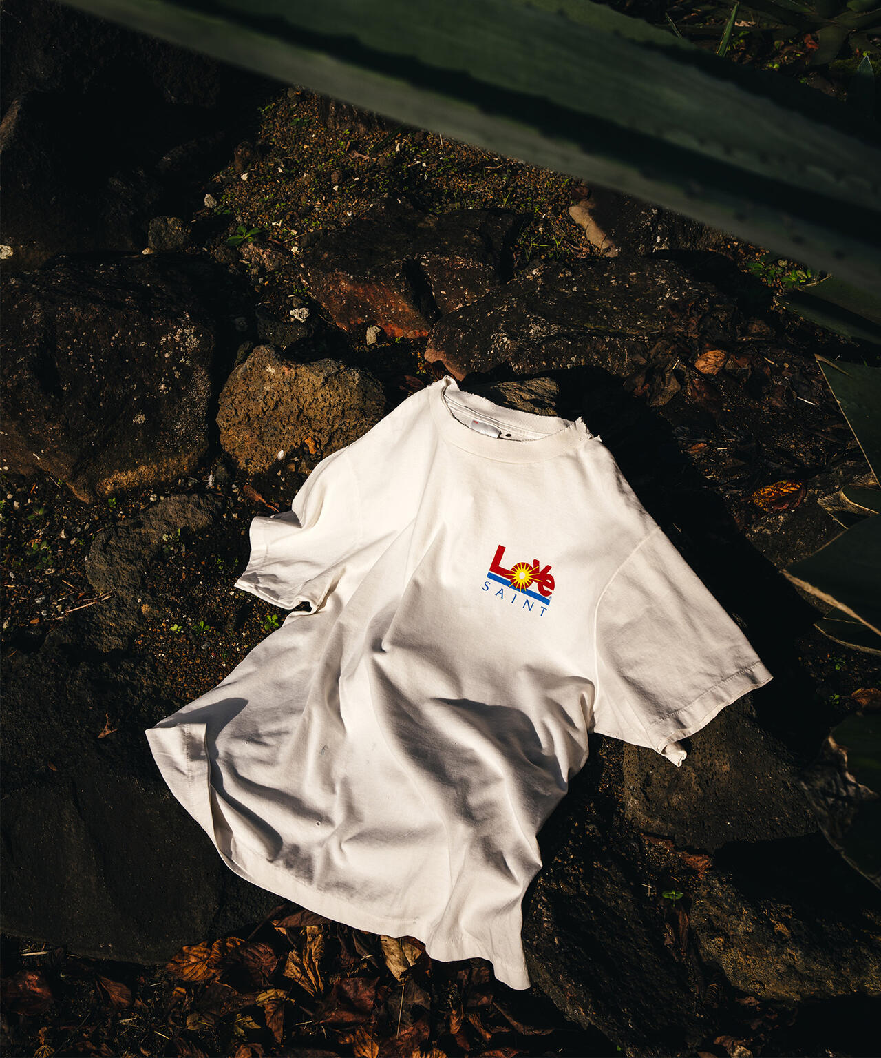 a3f0b140-d2a3-54a8-b23c-59e8cf033e46_Image