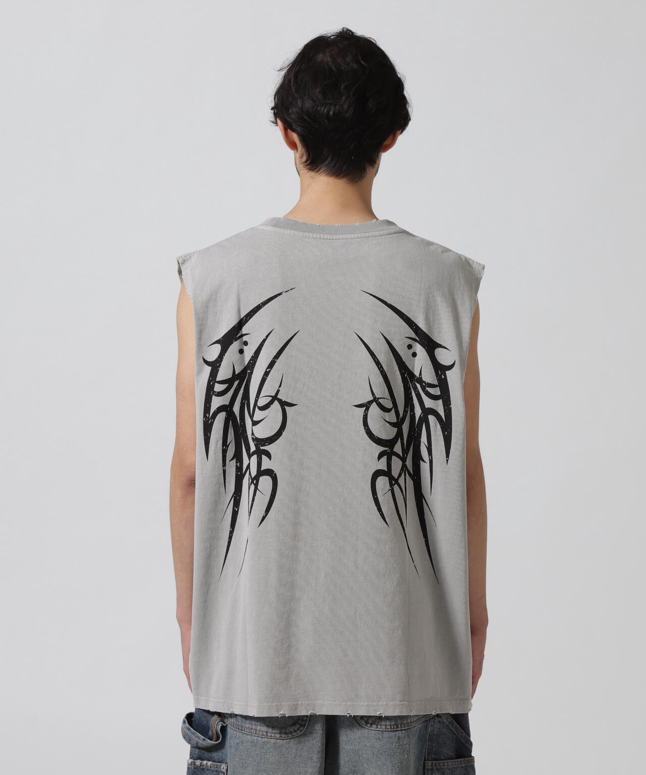 FR(13)NDS /フレンズ/GRAPHIC NS