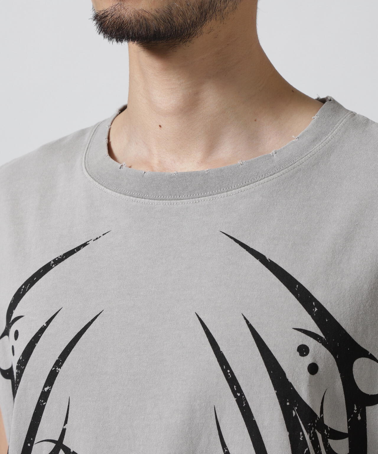 FR(13)NDS /フレンズ/GRAPHIC NS