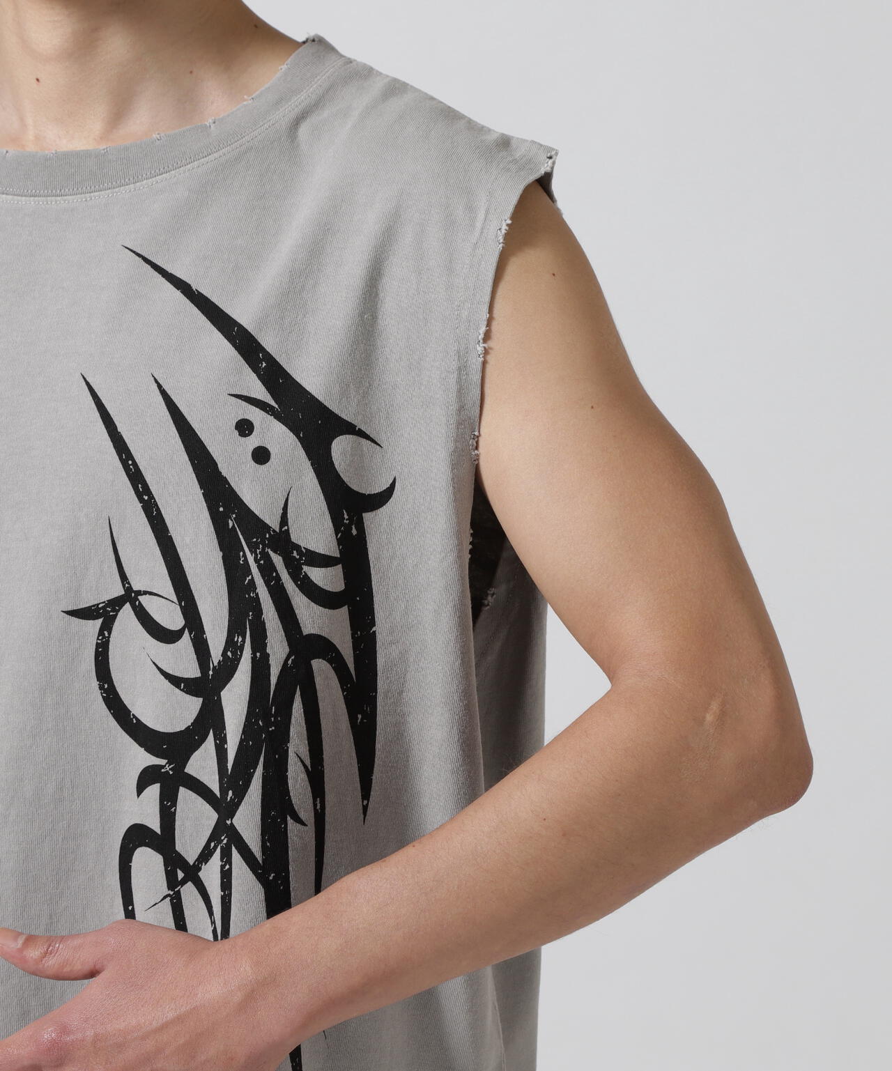 FR(13)NDS /フレンズ/GRAPHIC NS