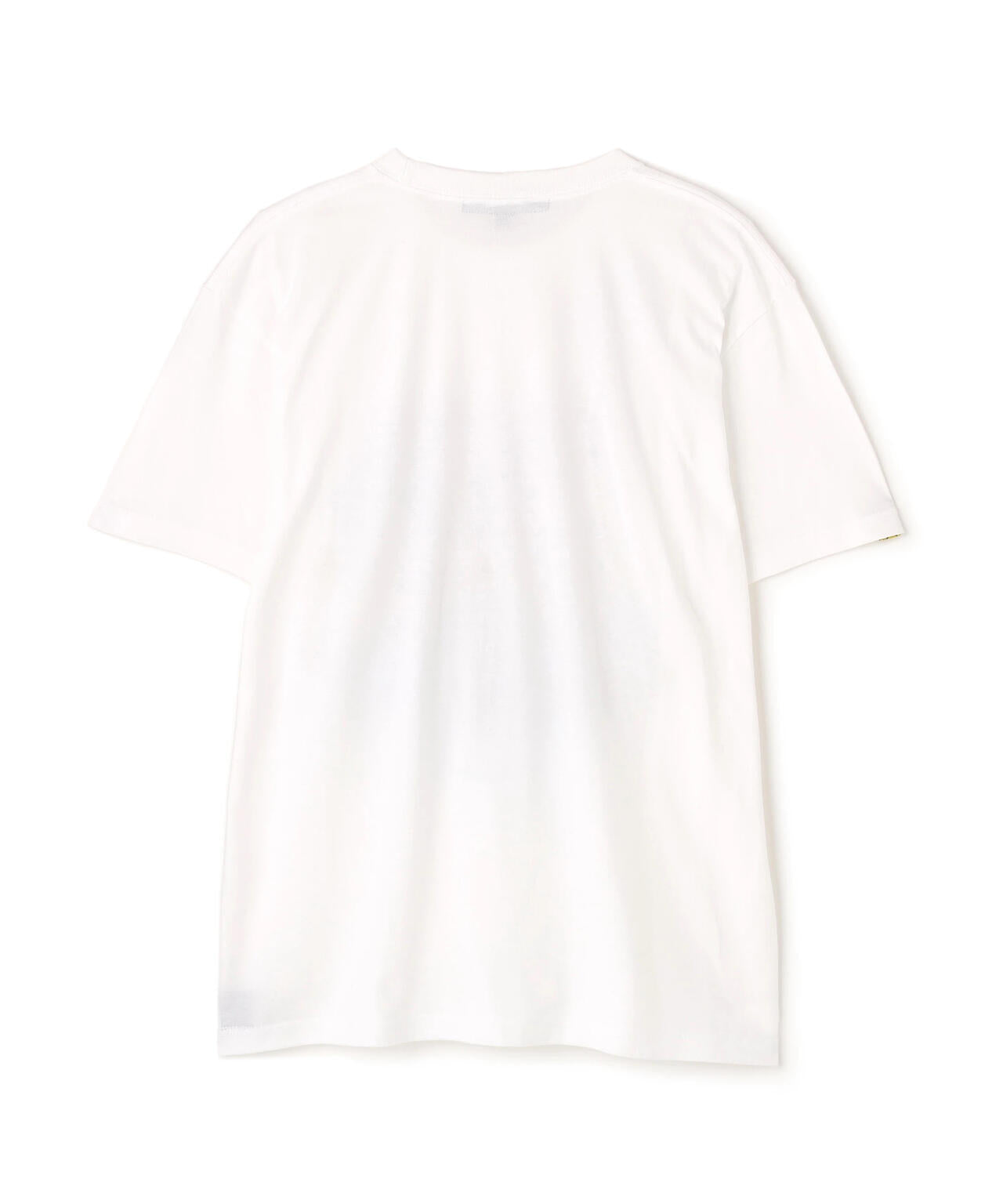 13fa4121-b693-50da-b940-b121efe0669a_Image