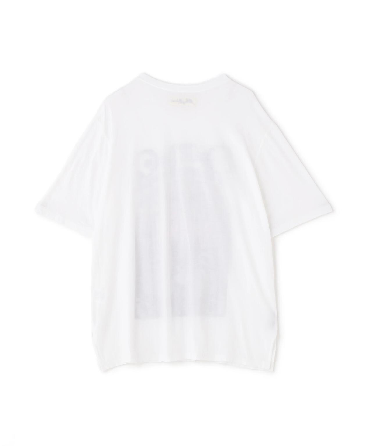 66ec8c90-f234-59fe-9c0d-bd1115da2d10_Image