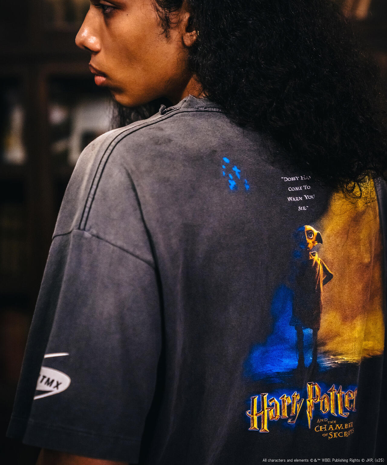 SAINT MICHAEL/セントマイケル/HP_SS TEE/CHAMBER OF SCRT /BLACK