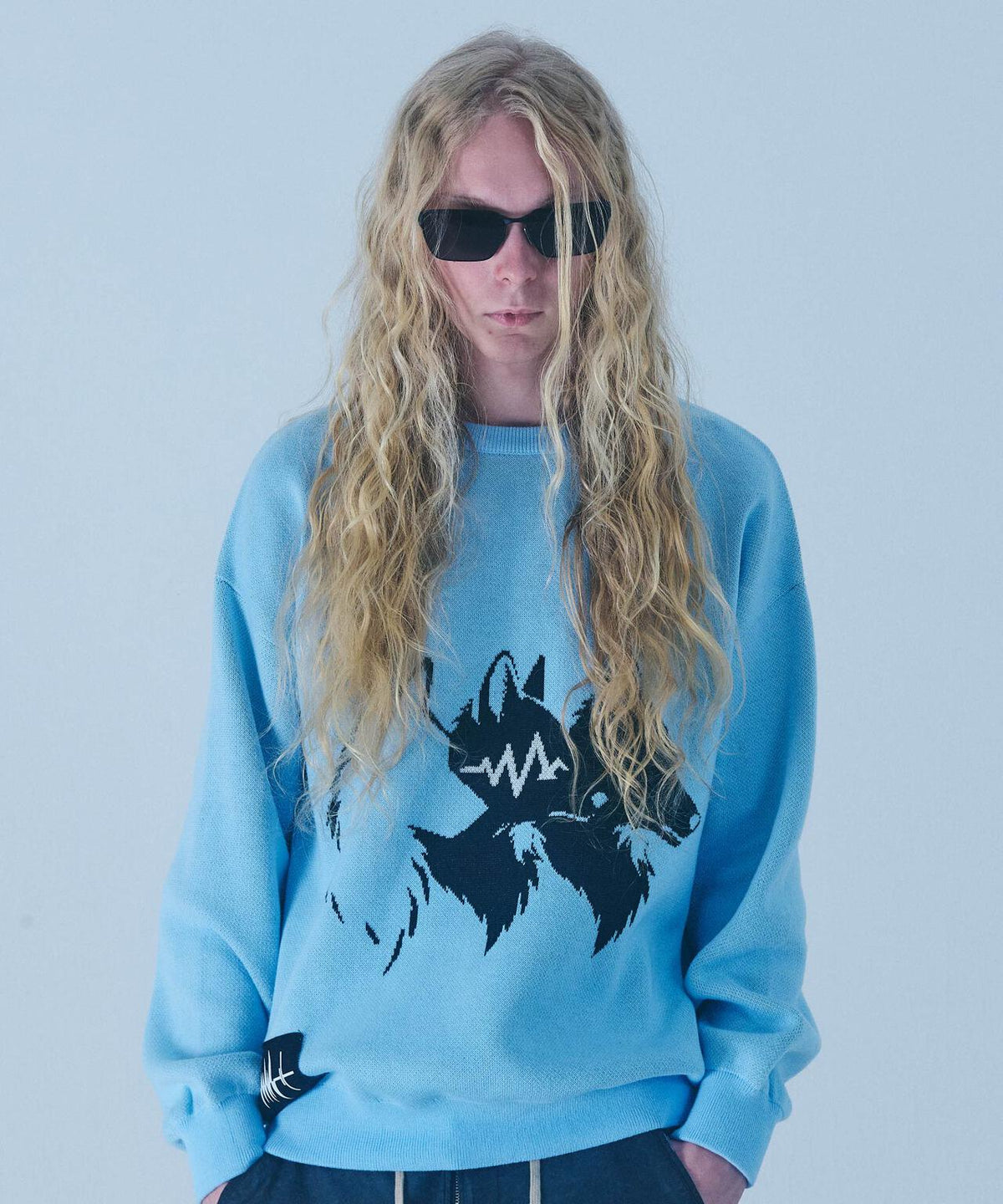FR(13)NDS/フレンズ/Wolf M KNIT