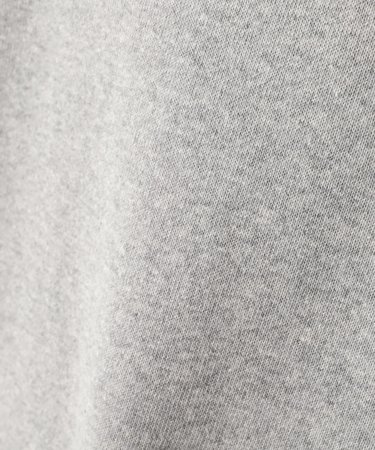 DENHAM/デンハム/PRM LOOP HOODY