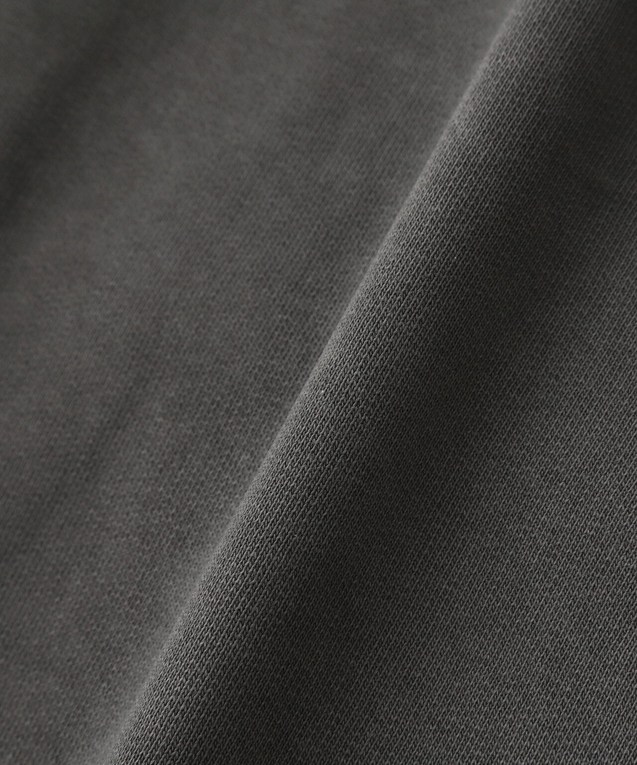 DENHAM/デンハム/REMY SWEAT PDS