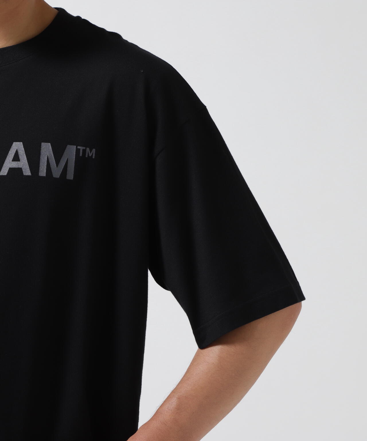 DENHAM/デンハム/BIG LOGO TEE