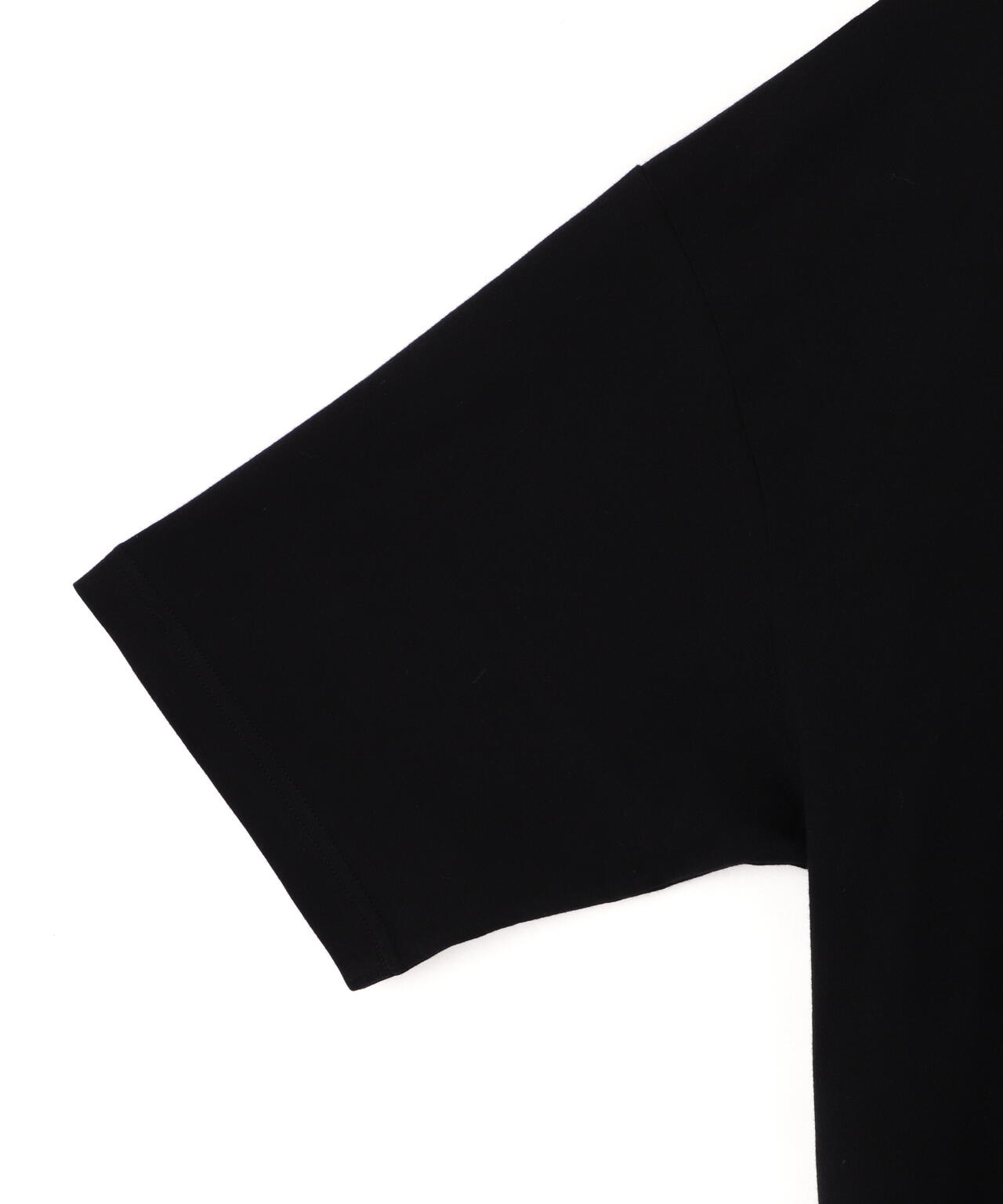 DENHAM/デンハム/BIG LOGO TEE