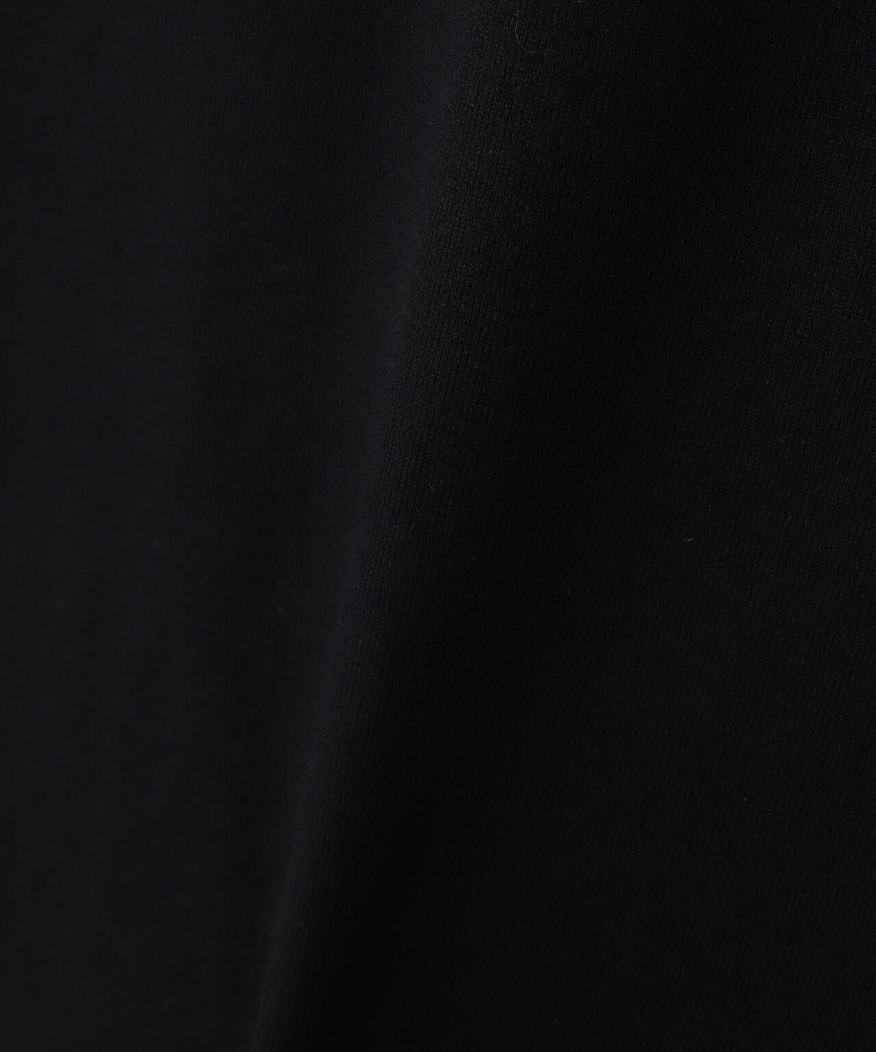 DENHAM/デンハム/BIG LOGO TEE