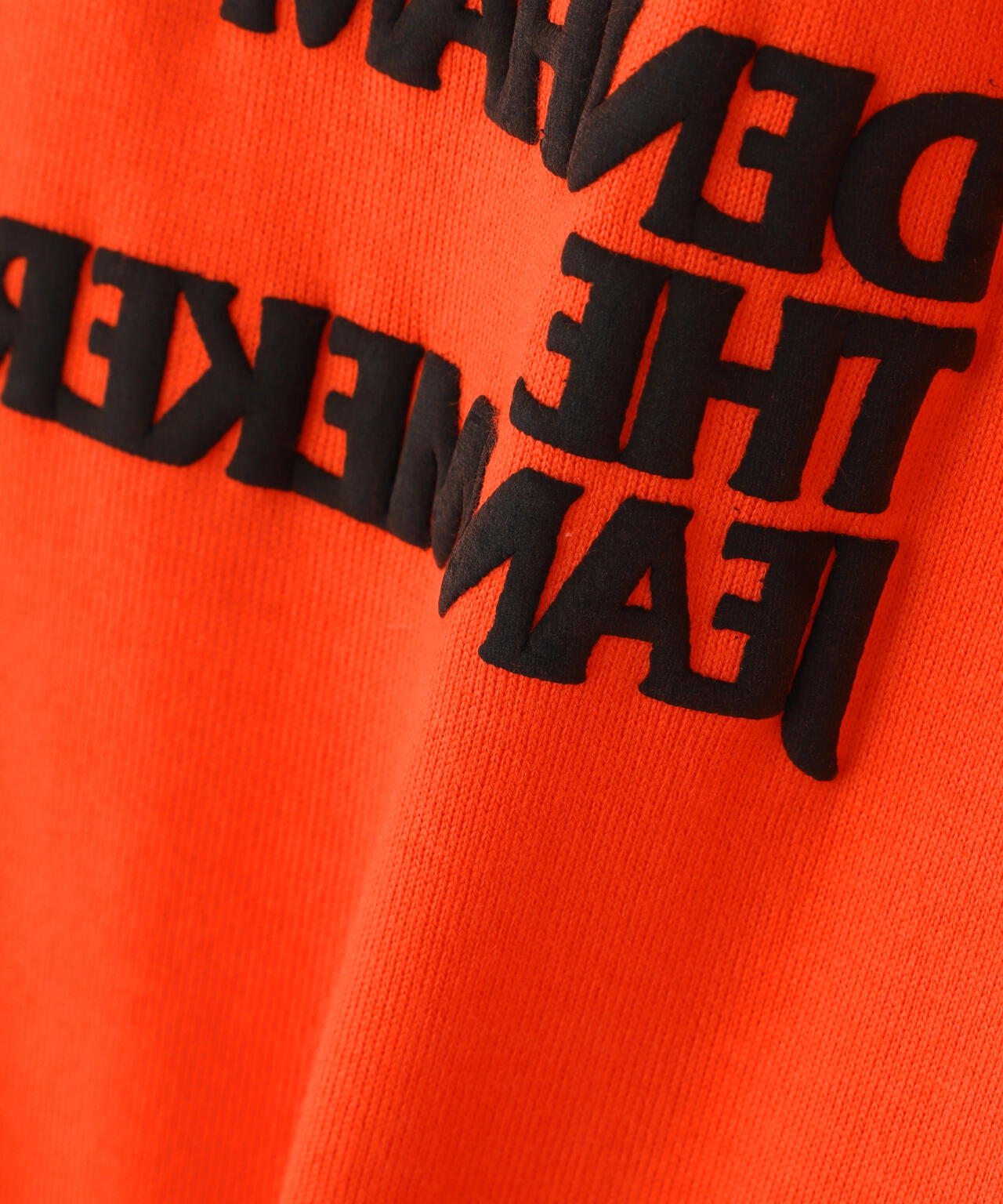 DENHAM/デンハム/DA VINCI TEE