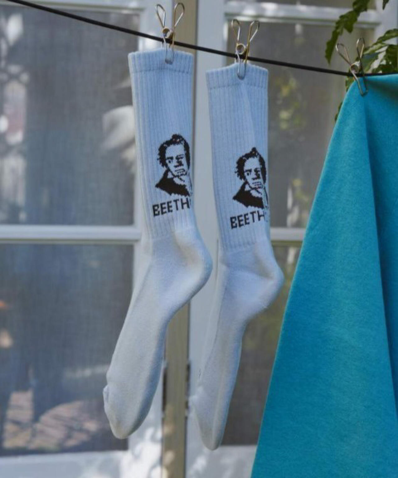 ROSTER SOX/ロスターソックス/BEETHOVEN SOX