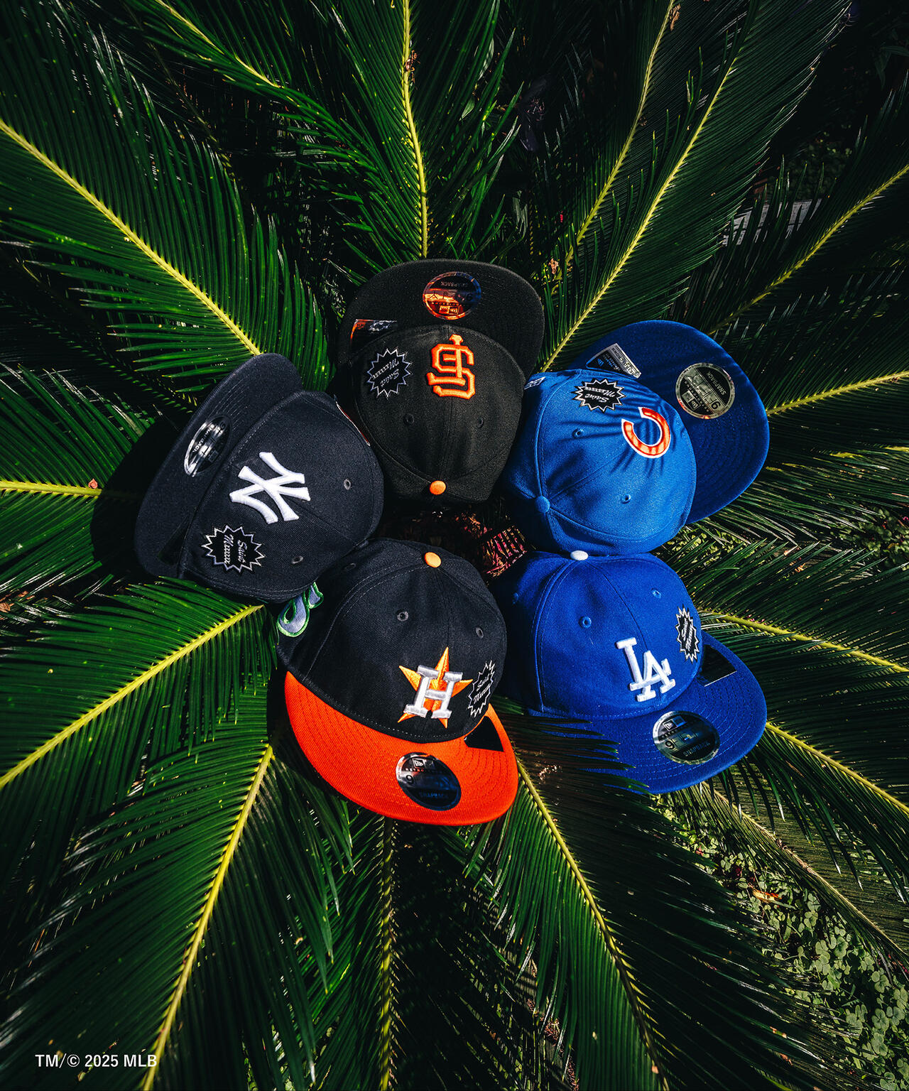 856f25d8-359c-5785-94fa-1ed47e85d597_Image