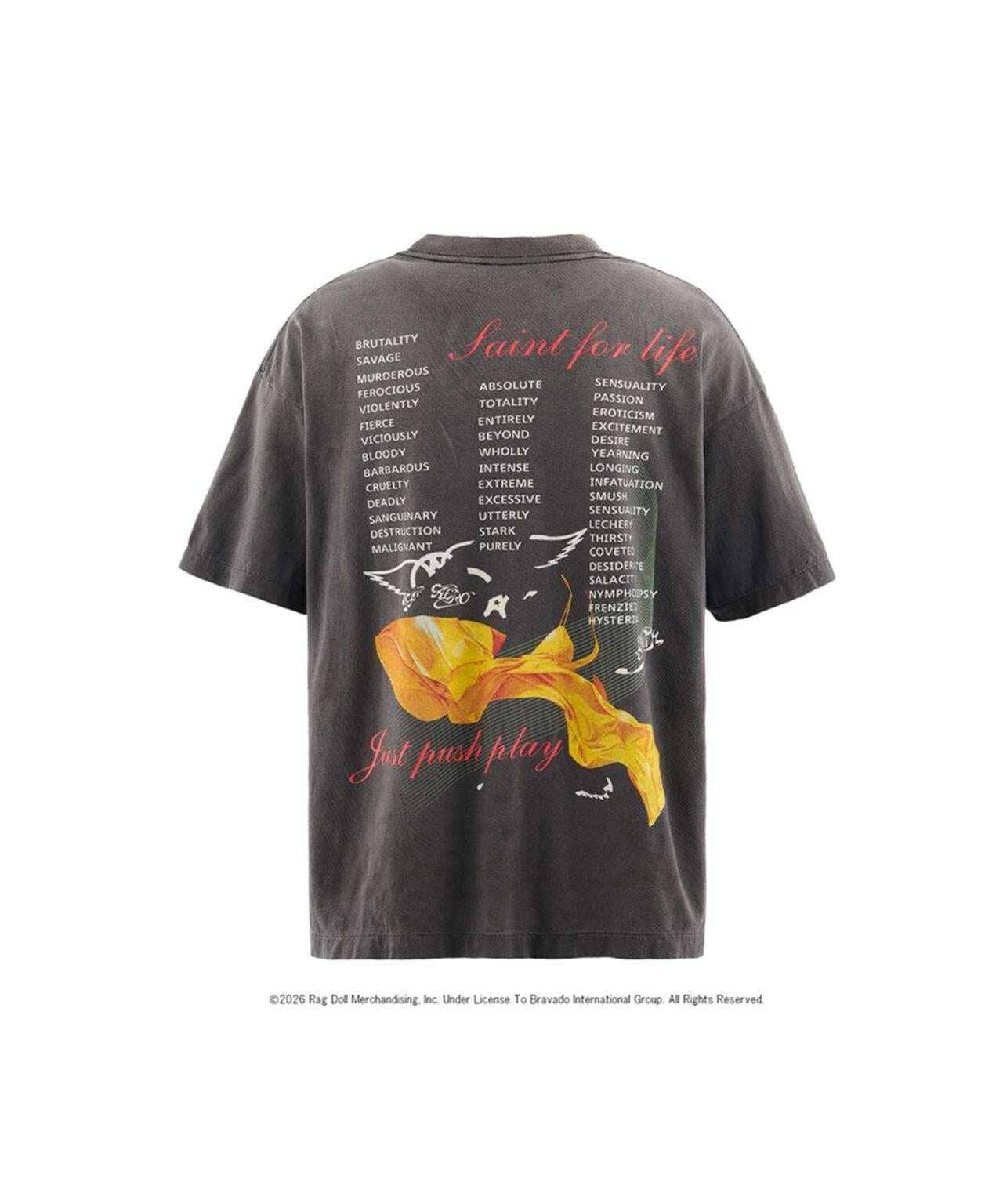 SAINT MICHAEL/セントマイケル/AS_SS T-SHIRT/AEROSMITH/BLK
