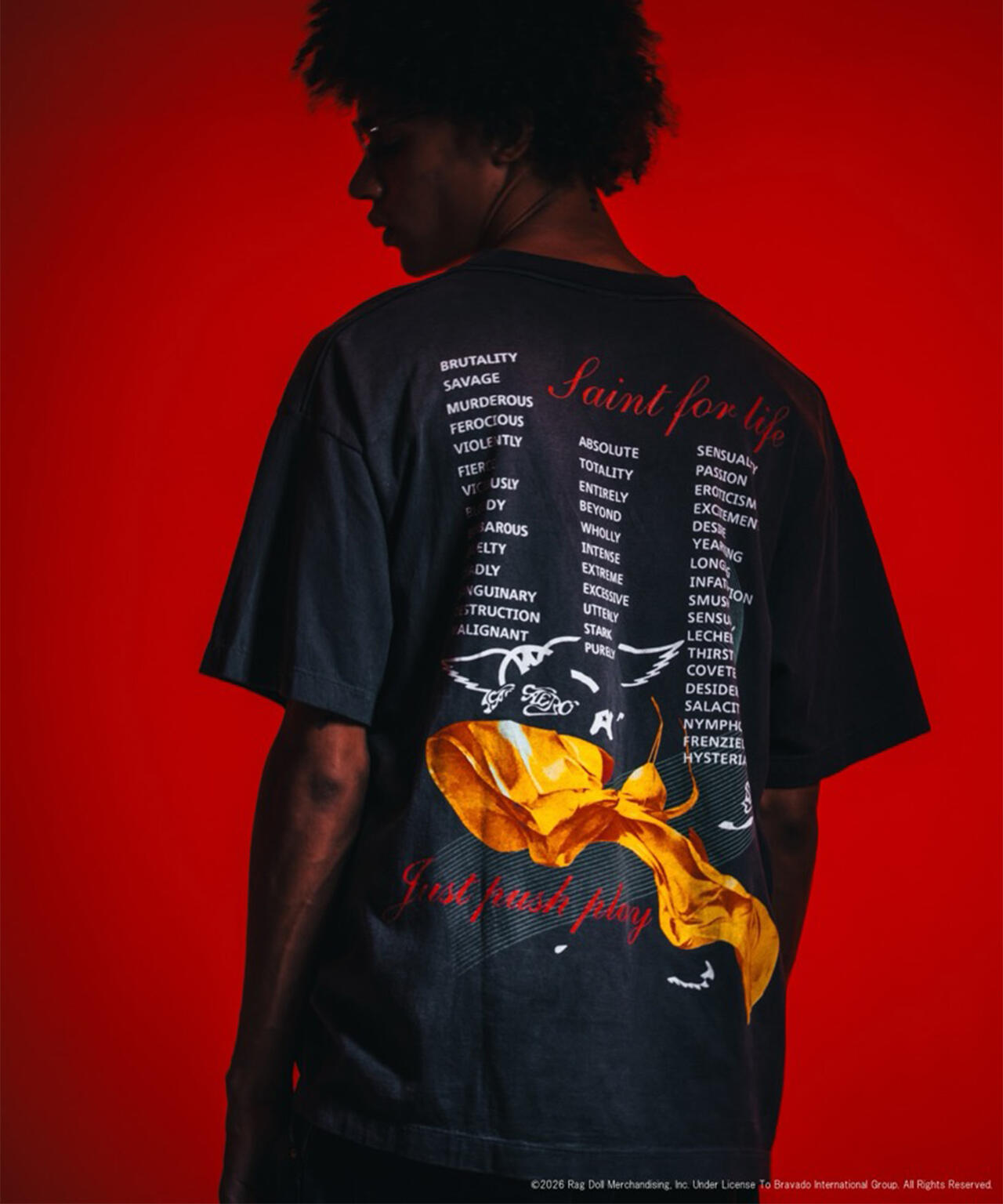 SAINT MICHAEL/セントマイケル/AS_SS T-SHIRT/AEROSMITH/BLK