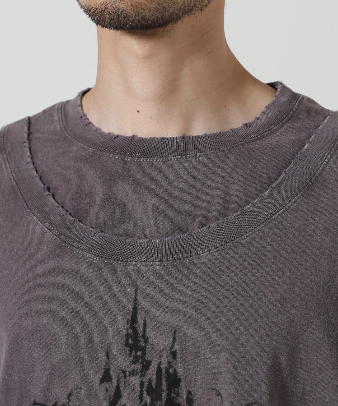 FR(13)NDS/フレンズ/Layer TEE