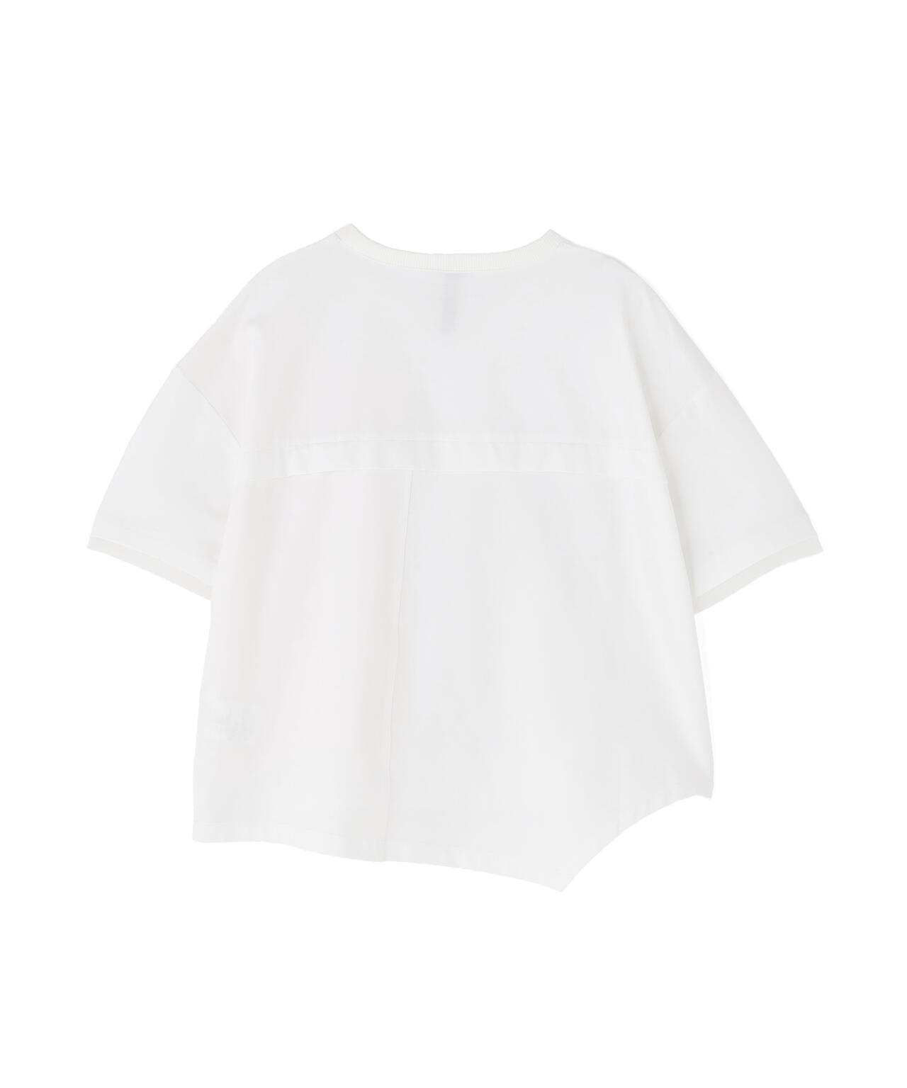 AULA AILA/アウラアイラ/別注メッシュコンビネーションTシャツ