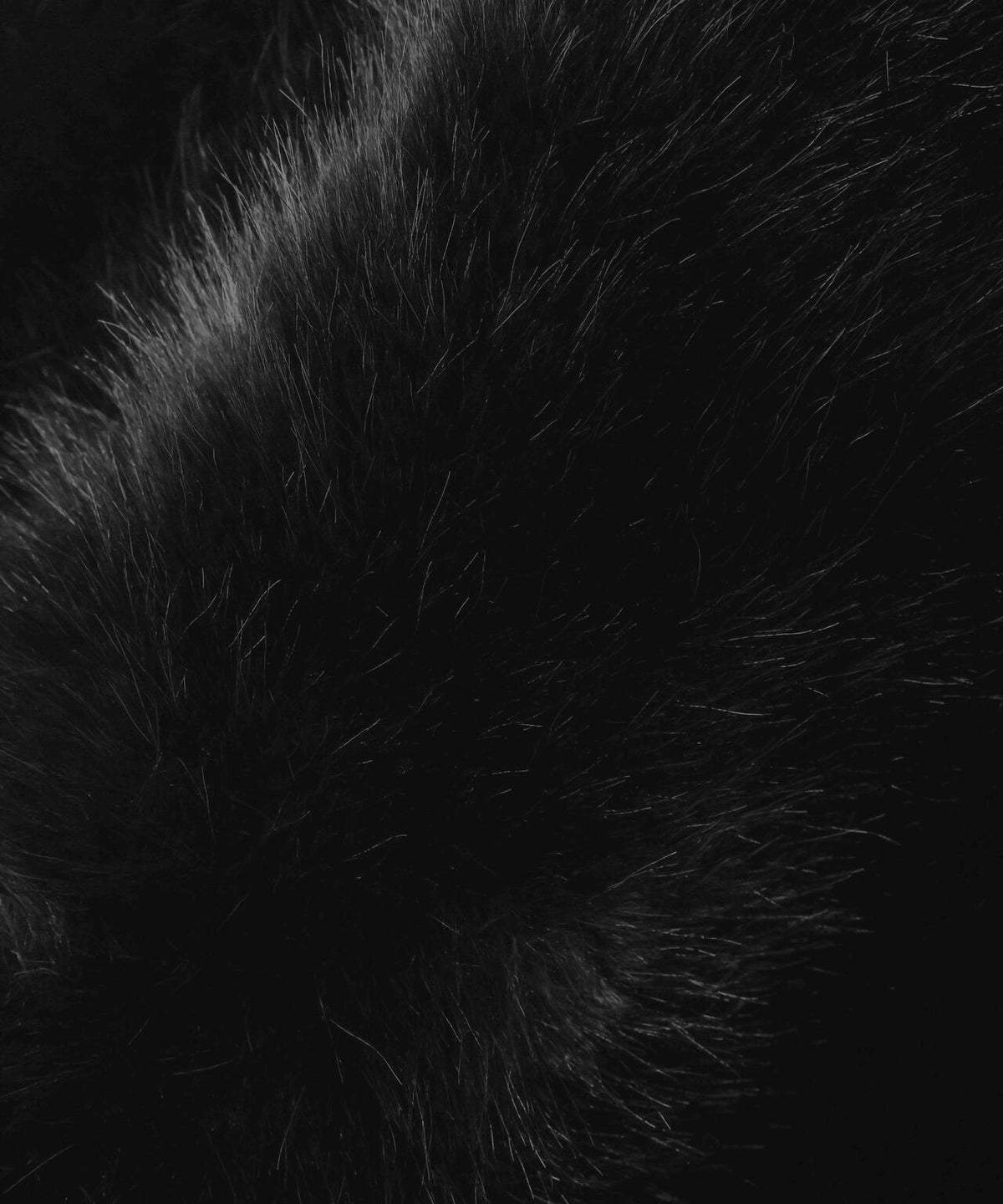 FR(13)NDS/フレンズ/WOMEN ECO FUR STAND BLOUSON