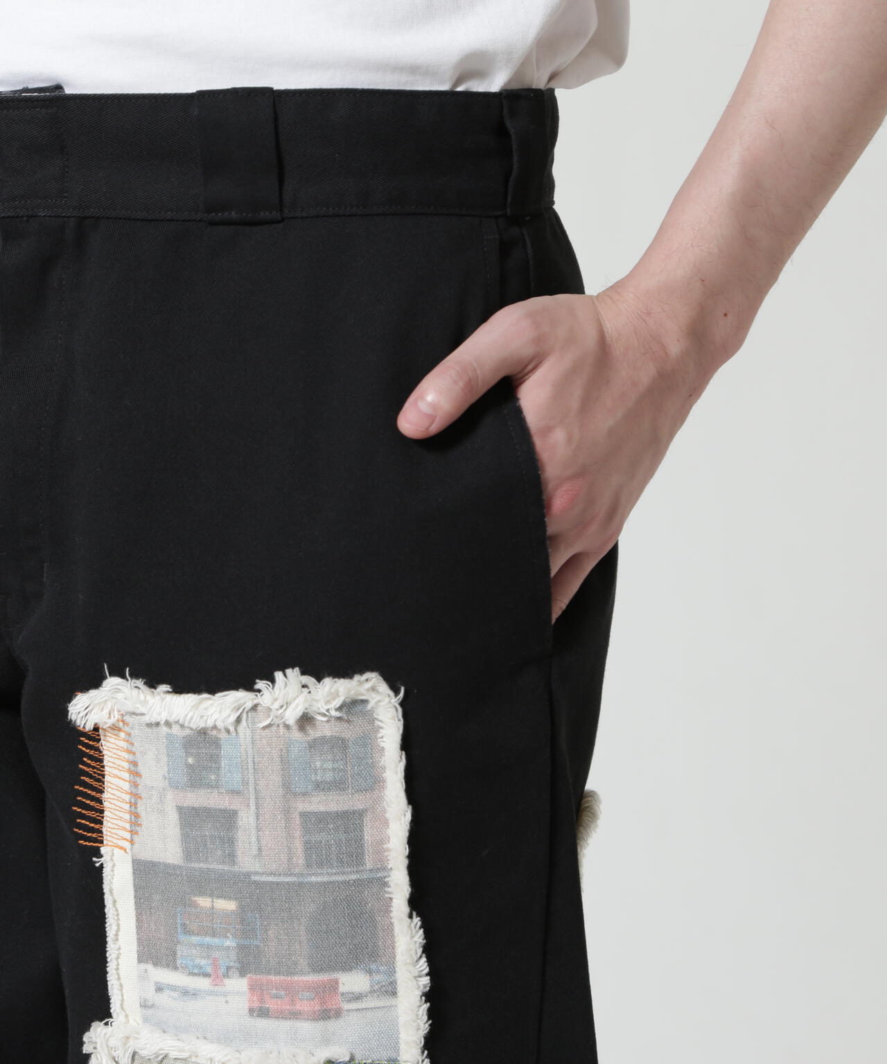 CELLDIVISION×Dickies/セルディビジョン×ディッキーズ/Work Pants Collaboration Dickies