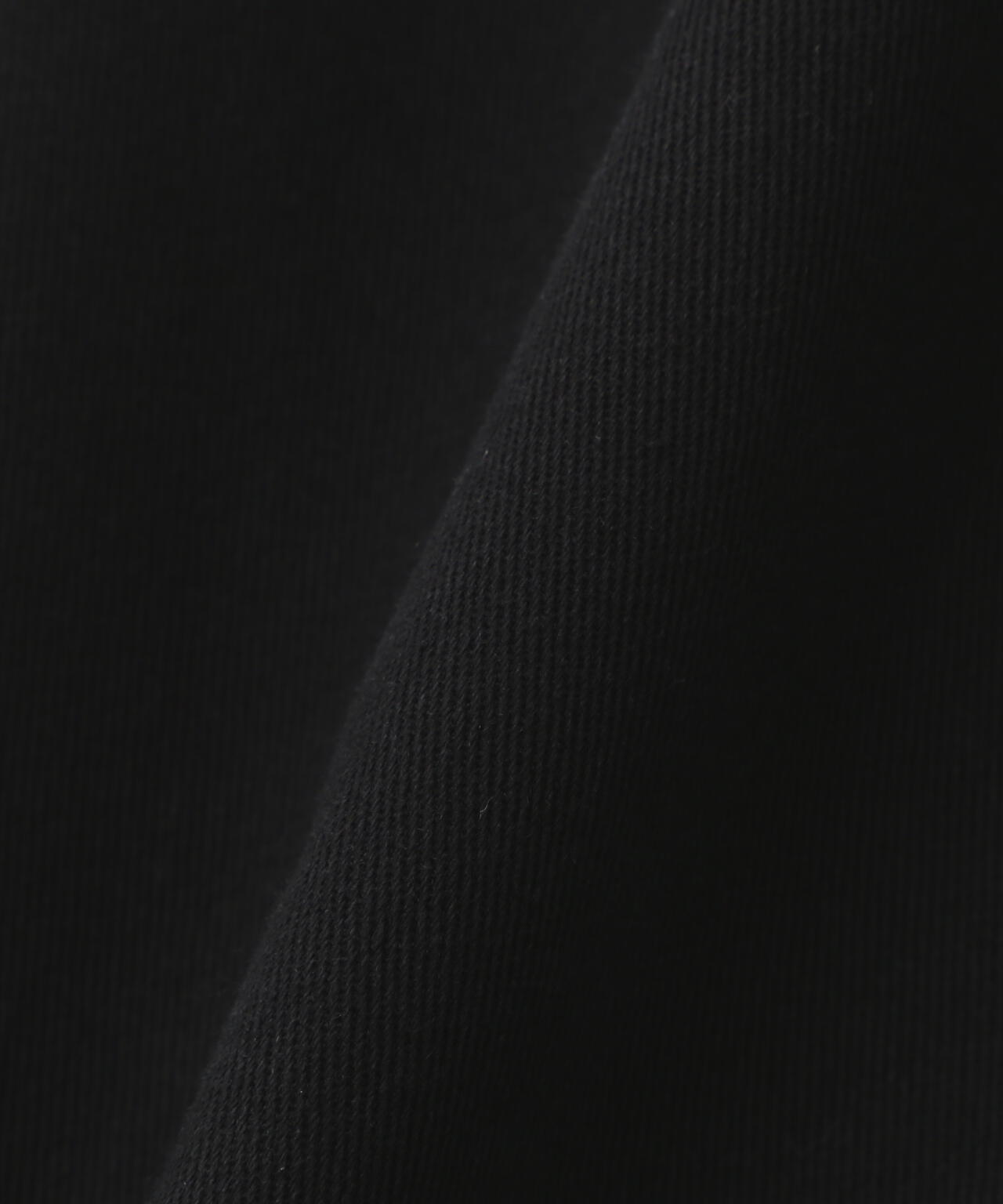 CELLDIVISION×Dickies/セルディビジョン×ディッキーズ/Work Pants Collaboration Dickies
