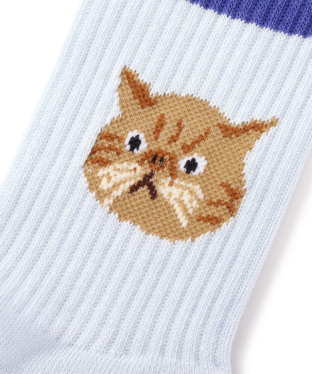 ROSTER SOX/ロスターソックス/CAT SOX