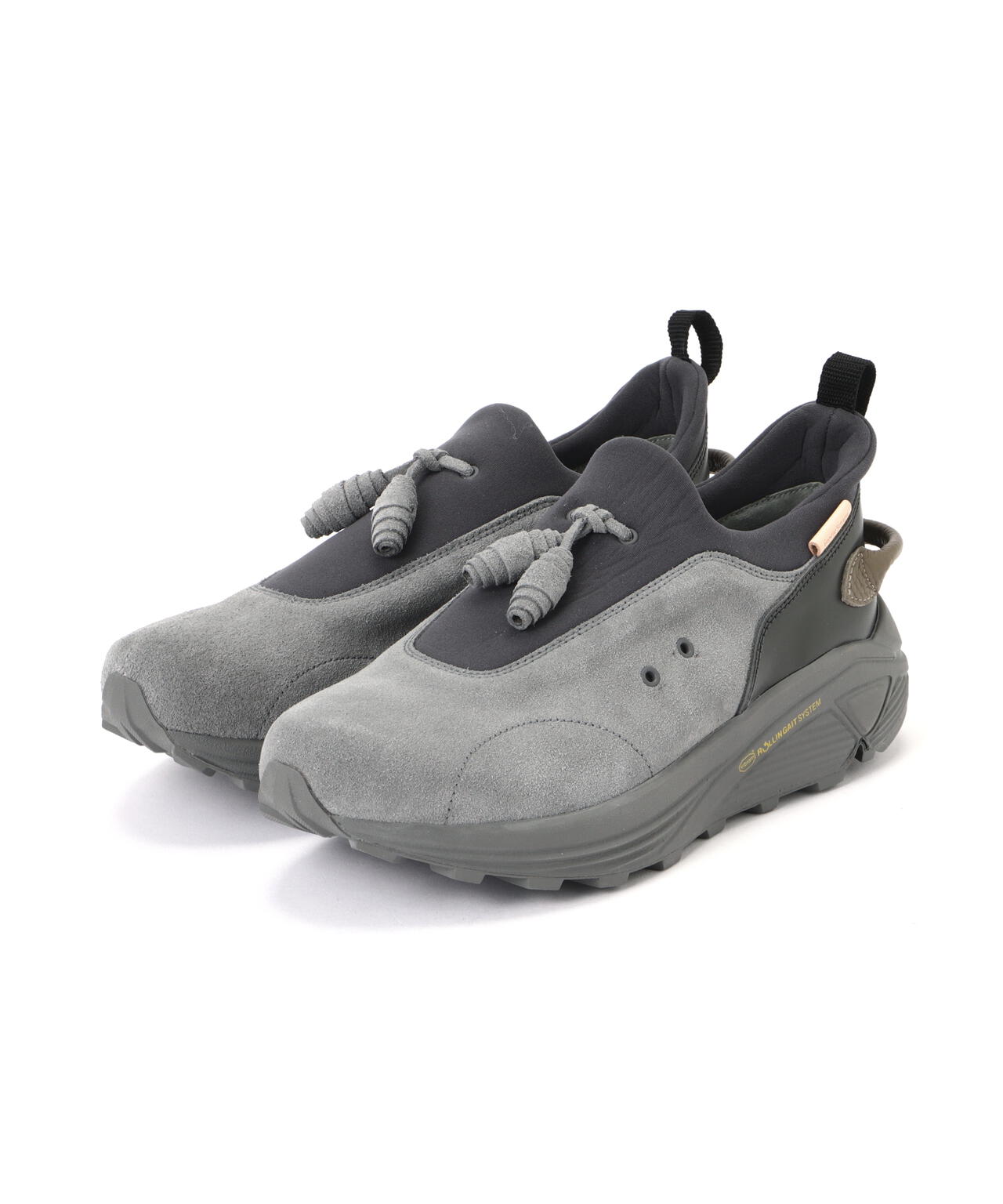 Hender Scheme/エンダースキーマ/species