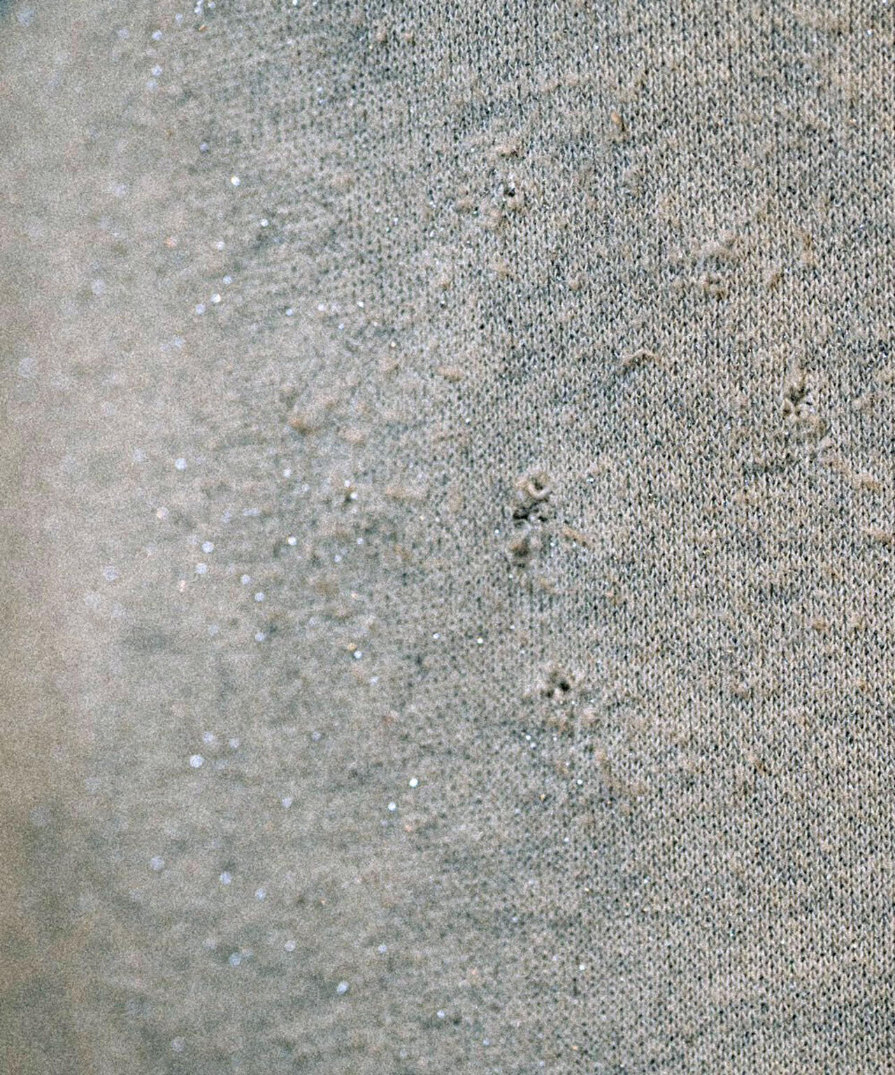 14143f86-957d-5f15-9076-5acdfa3bbe58_Image