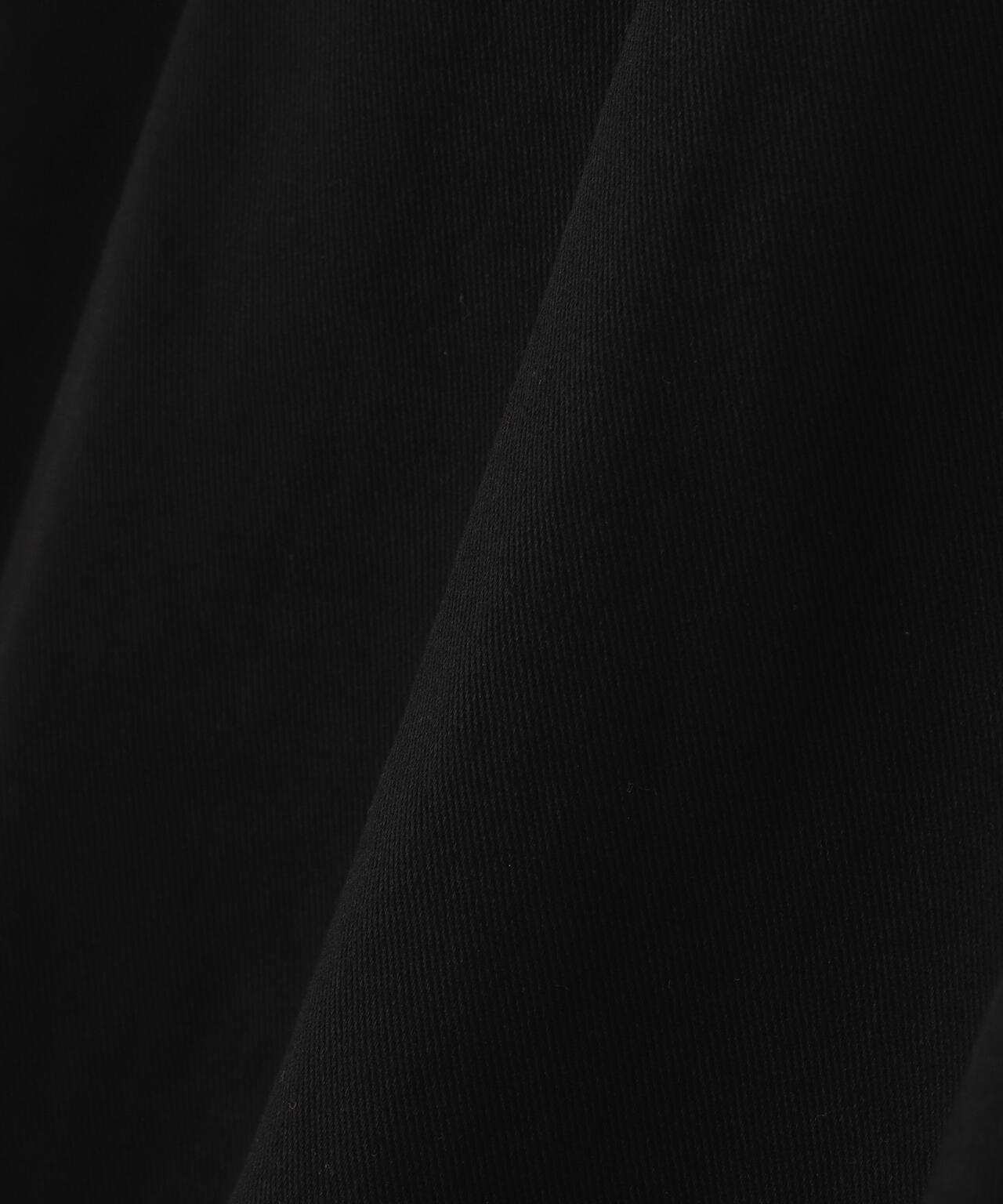 Toironier/トワロニエ/2Tuck CHINO Pants