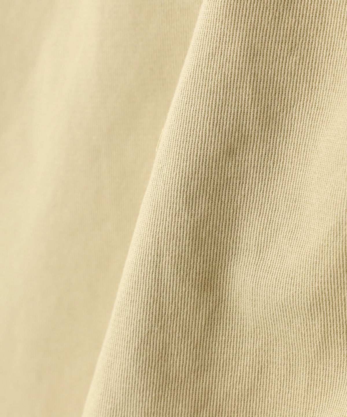 Toironier/トワロニエ/2Tuck CHINO Pants